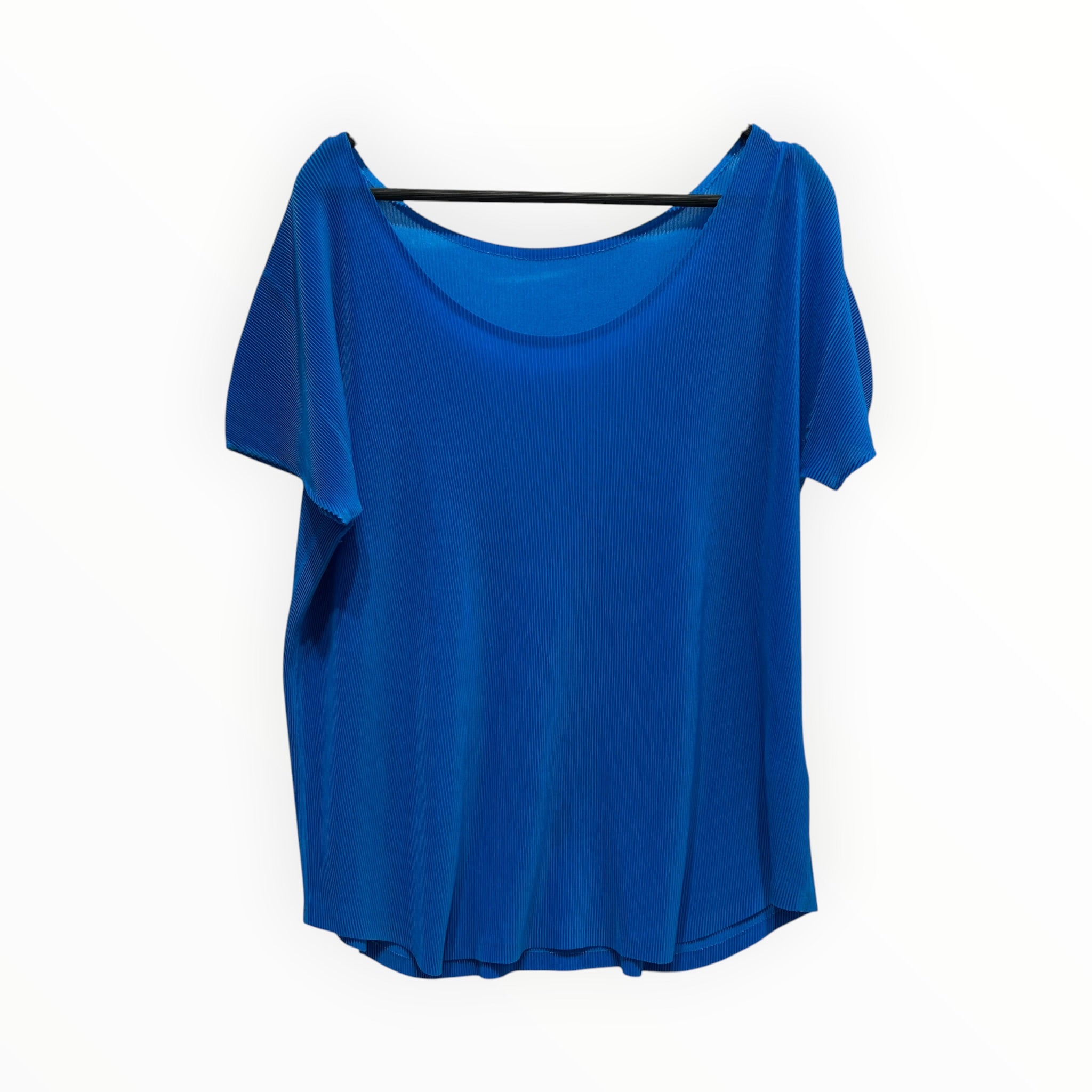 PLEATS PLEASE ISSEY MIYAKE/SS Blouse/3/Polyester/BLU/ROUND NECK view 1