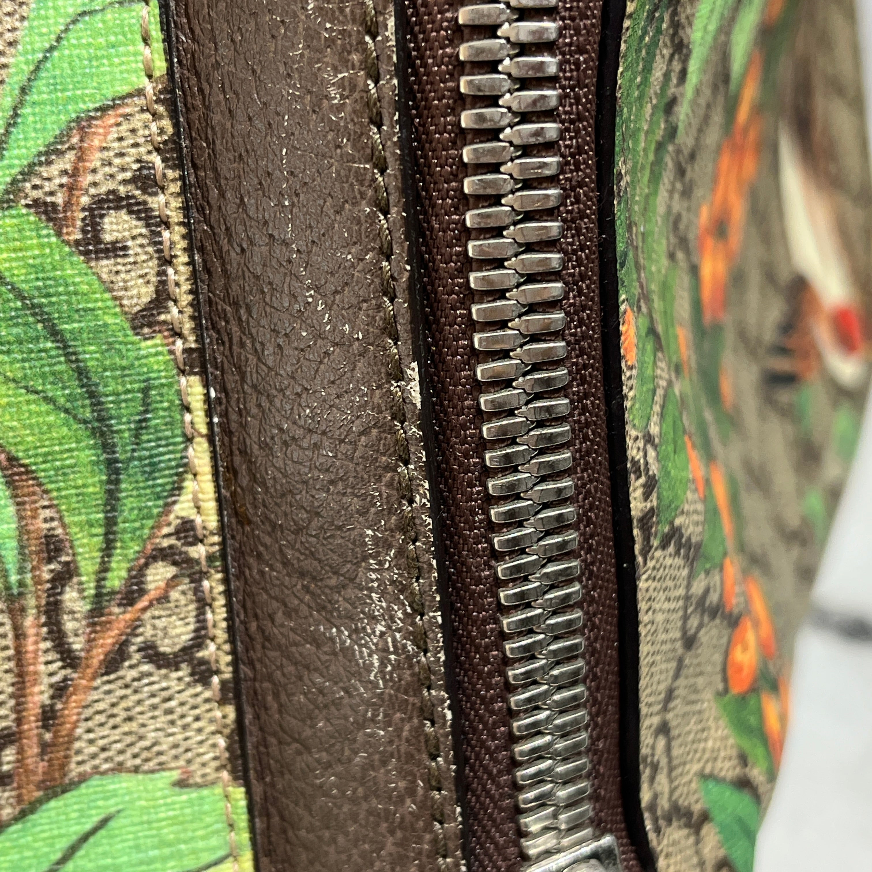 GUCCI/Backpack/Monogram/Leather/BRW/GG Supreme Tian Print Backpack view 13