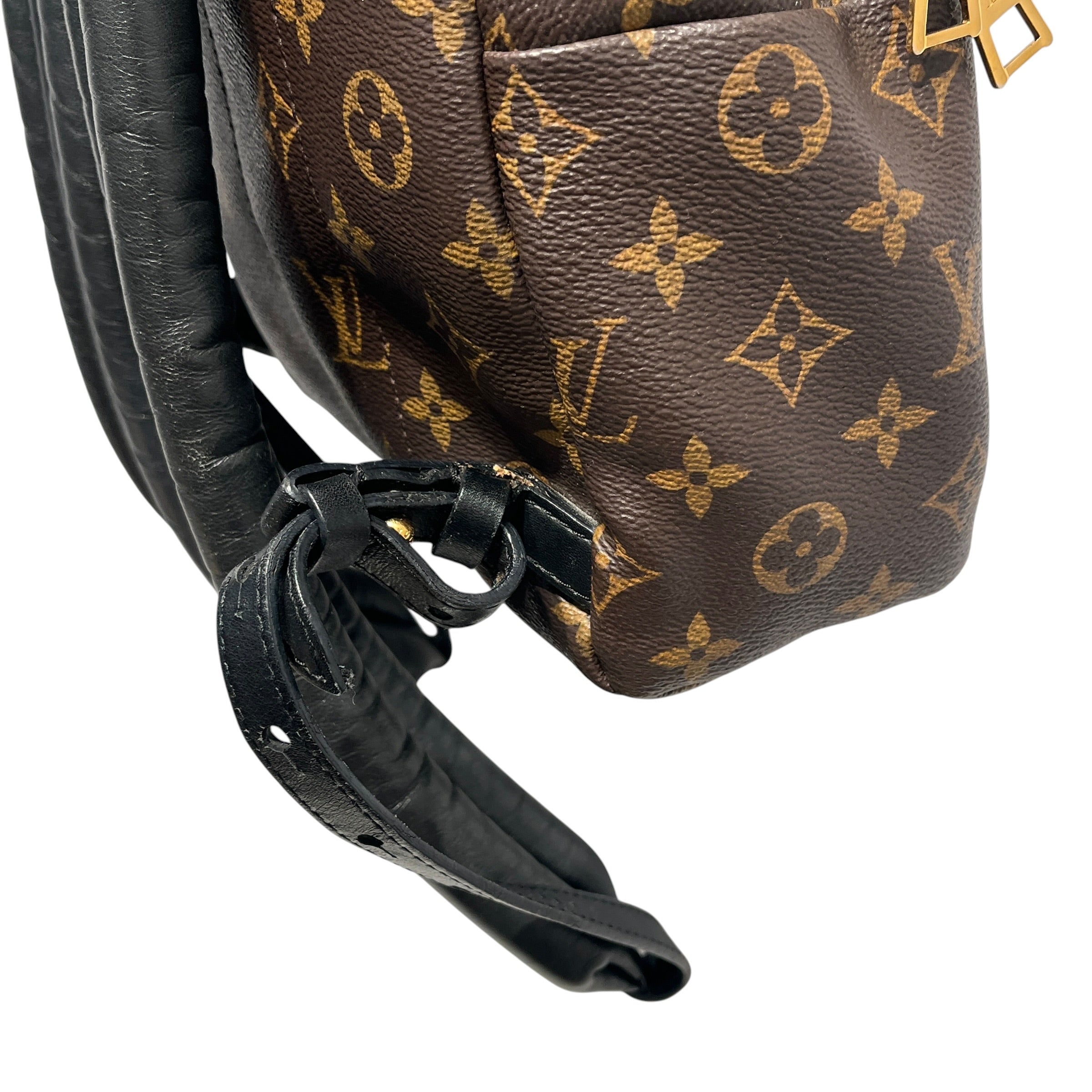 LOUIS VUITTON/Backpack/Monogram/Leather/BRW/palm springs PM backpack view 9