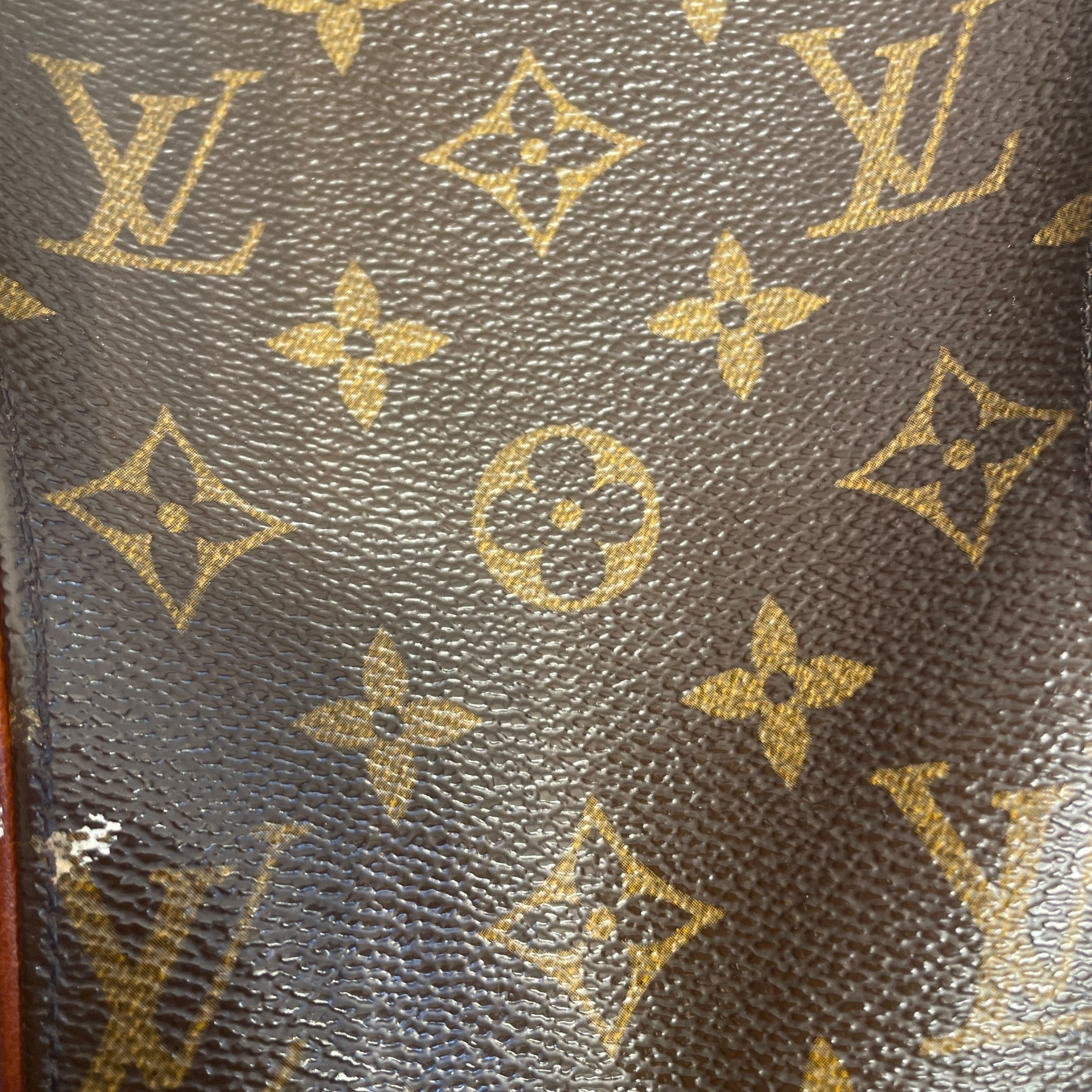 LOUIS VUITTON/Backpack/Monogram/Leather/BRW/Ellipse Sac view 4