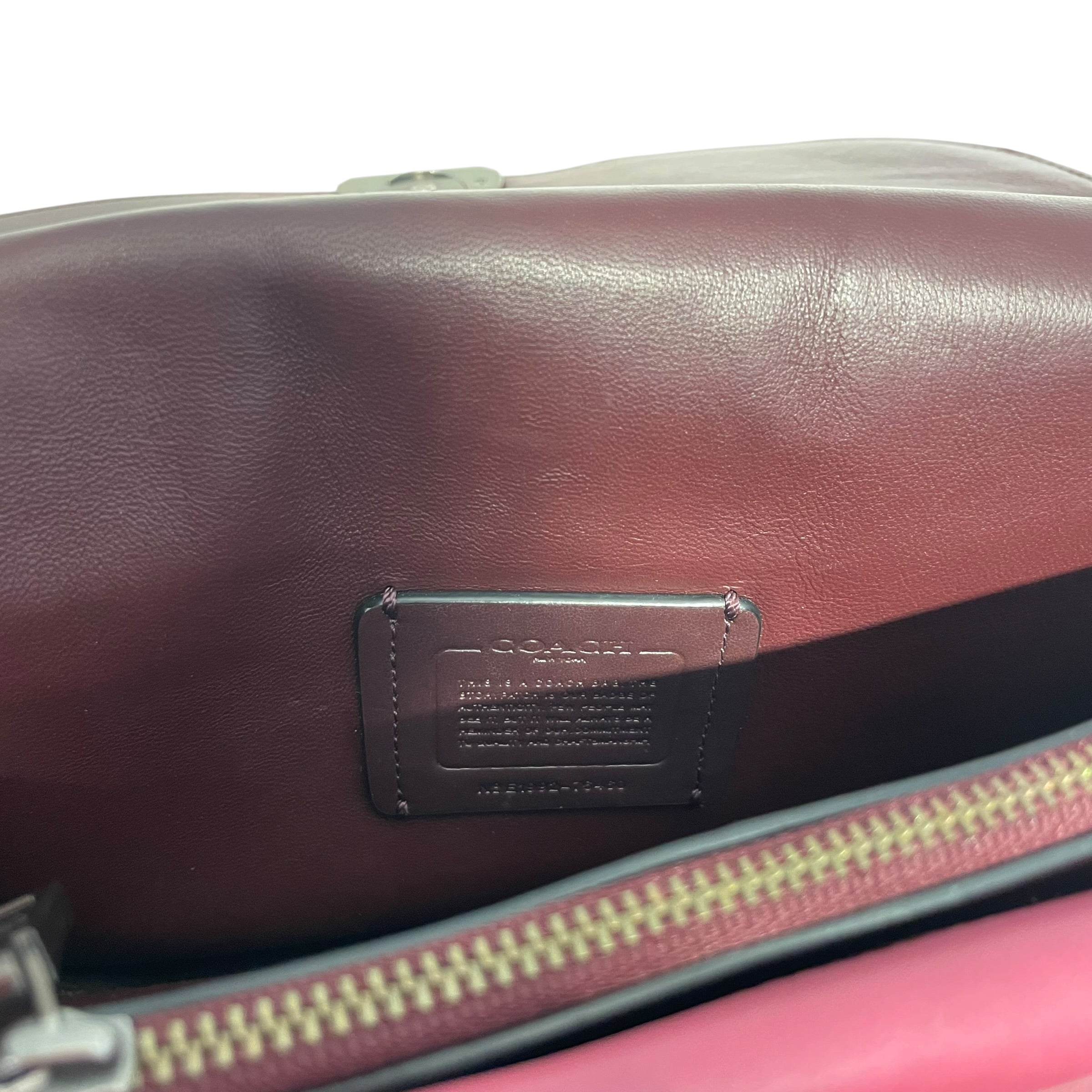 COACH/Bag/All Over Print/Leather/MLT/Dreamer snakeskin panels view 2