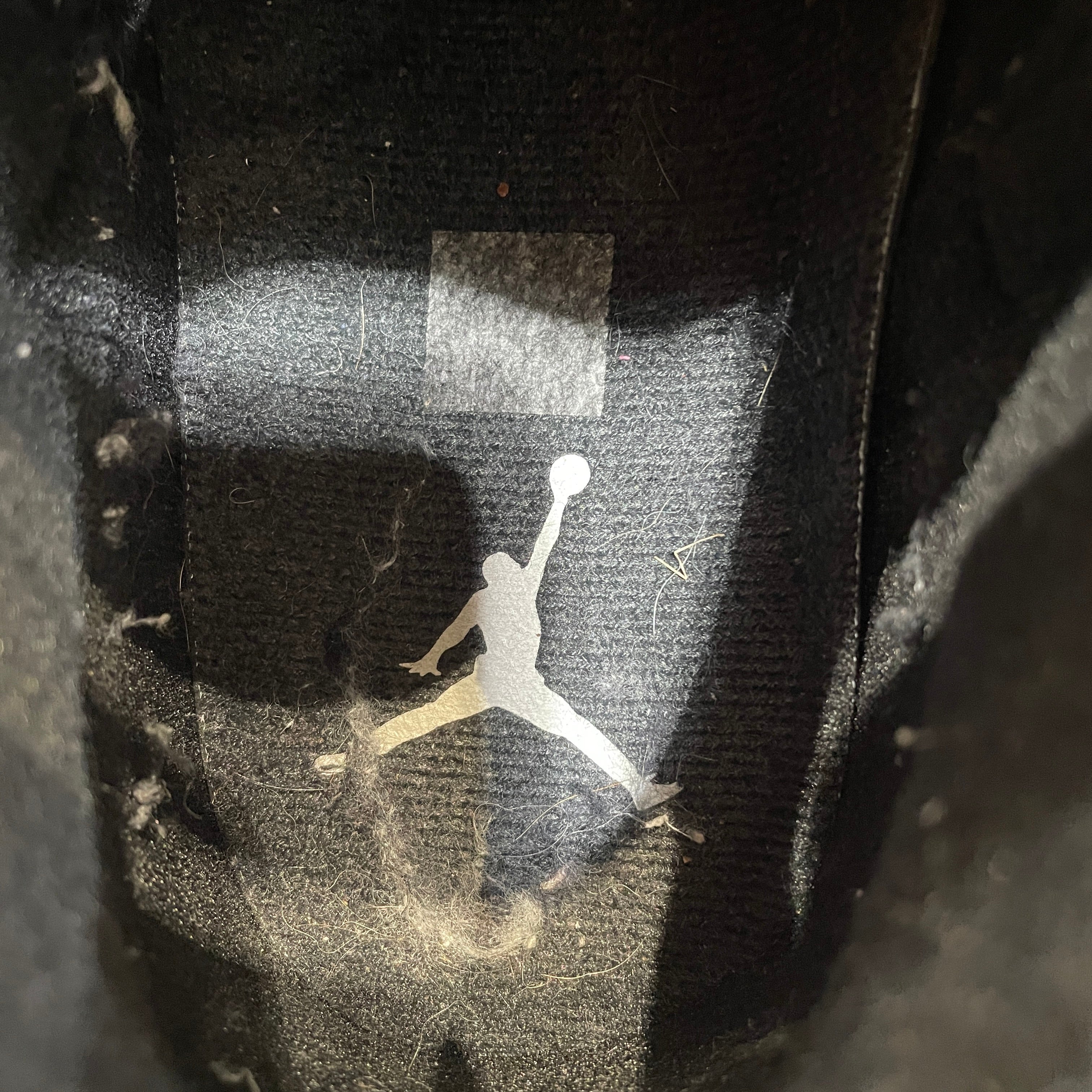 NIKE/AIR JORDAN 3/Hi-Sneakers/US 9/Leather/BLK/CT8532-001 view 3