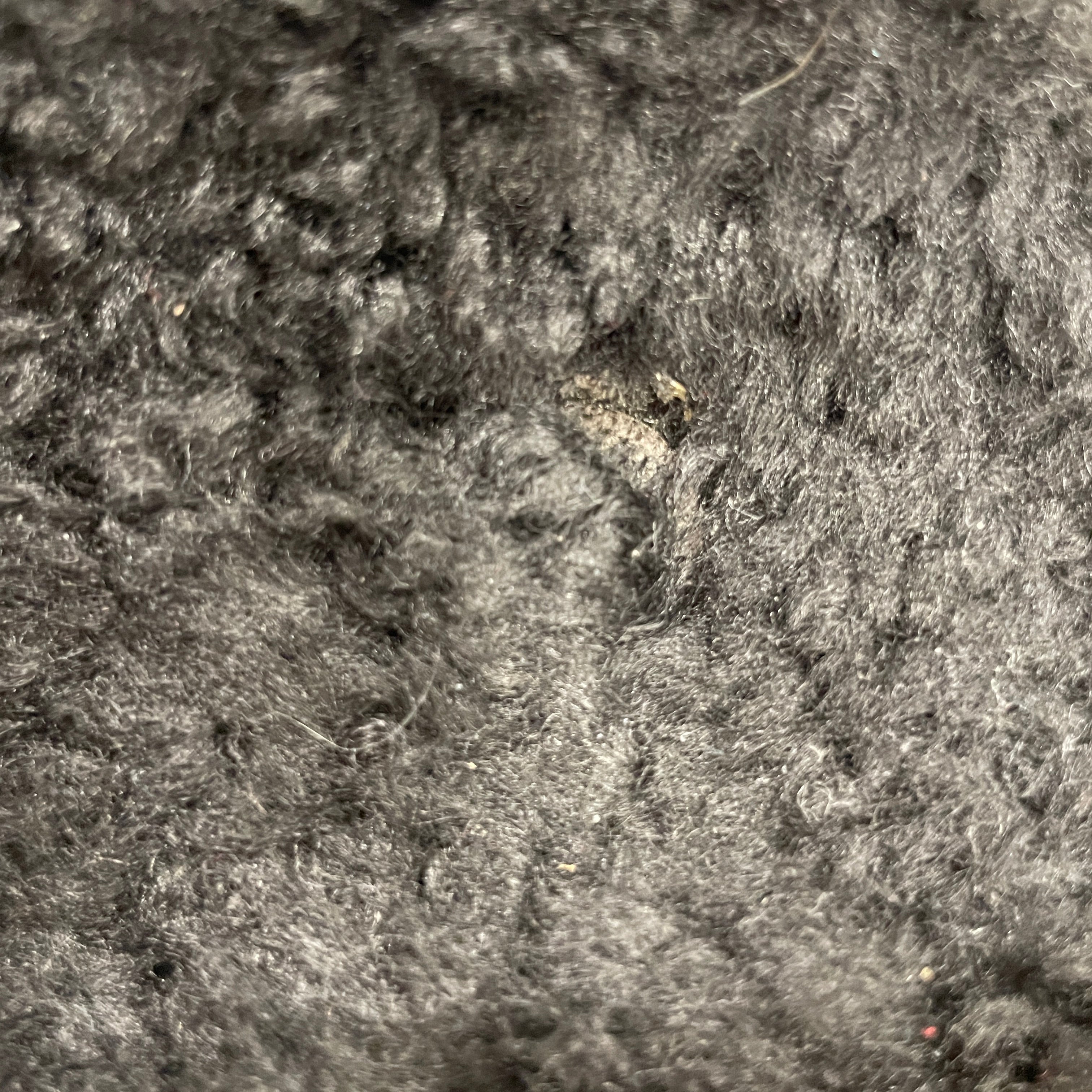 BALENCIAGA/Heels/EU 38.5/Fake Fur/BLK/WHITE RED LOGO view 6