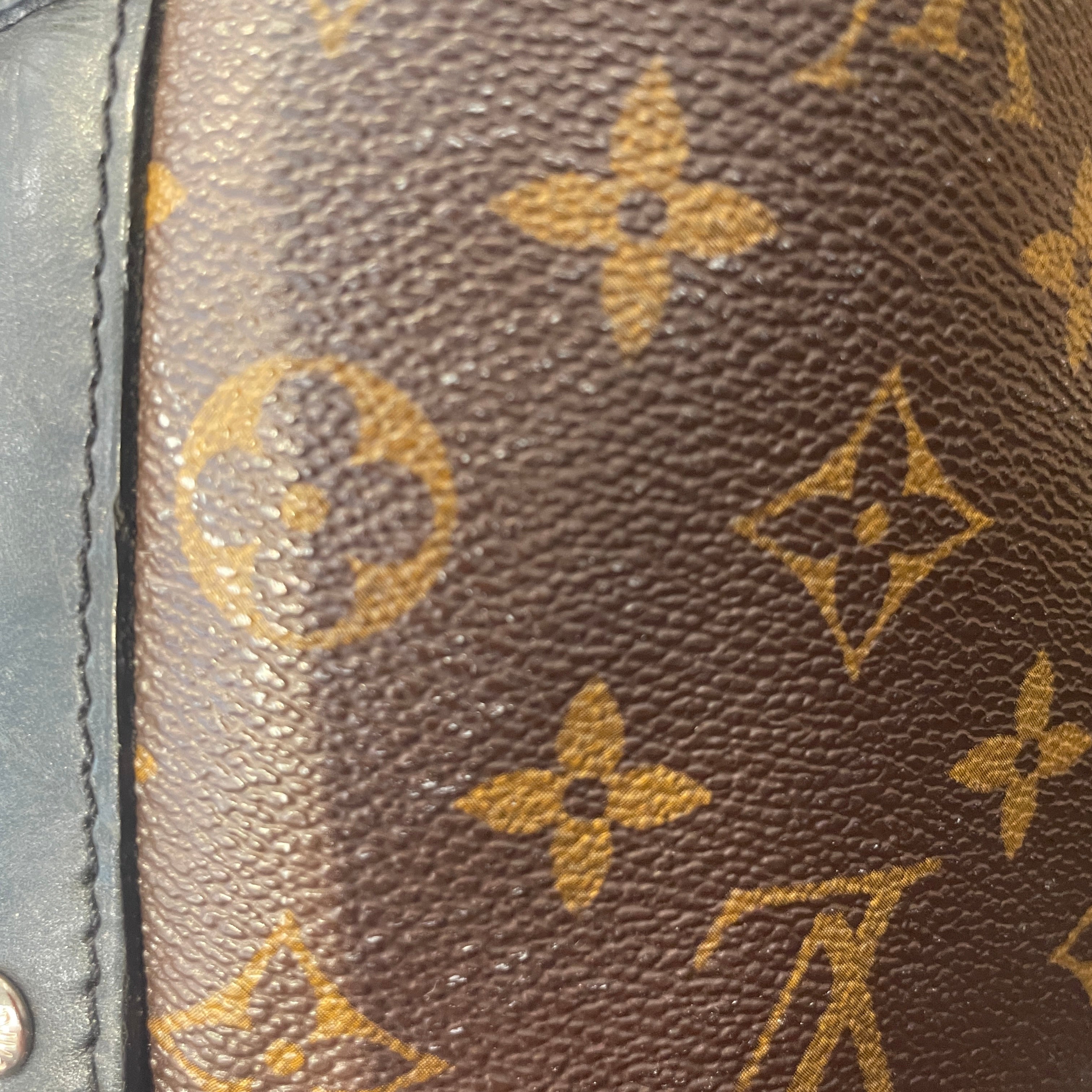 LOUIS VUITTON/Cross Body Bag/Monogram/CML/MACASSAR TORRES view 9