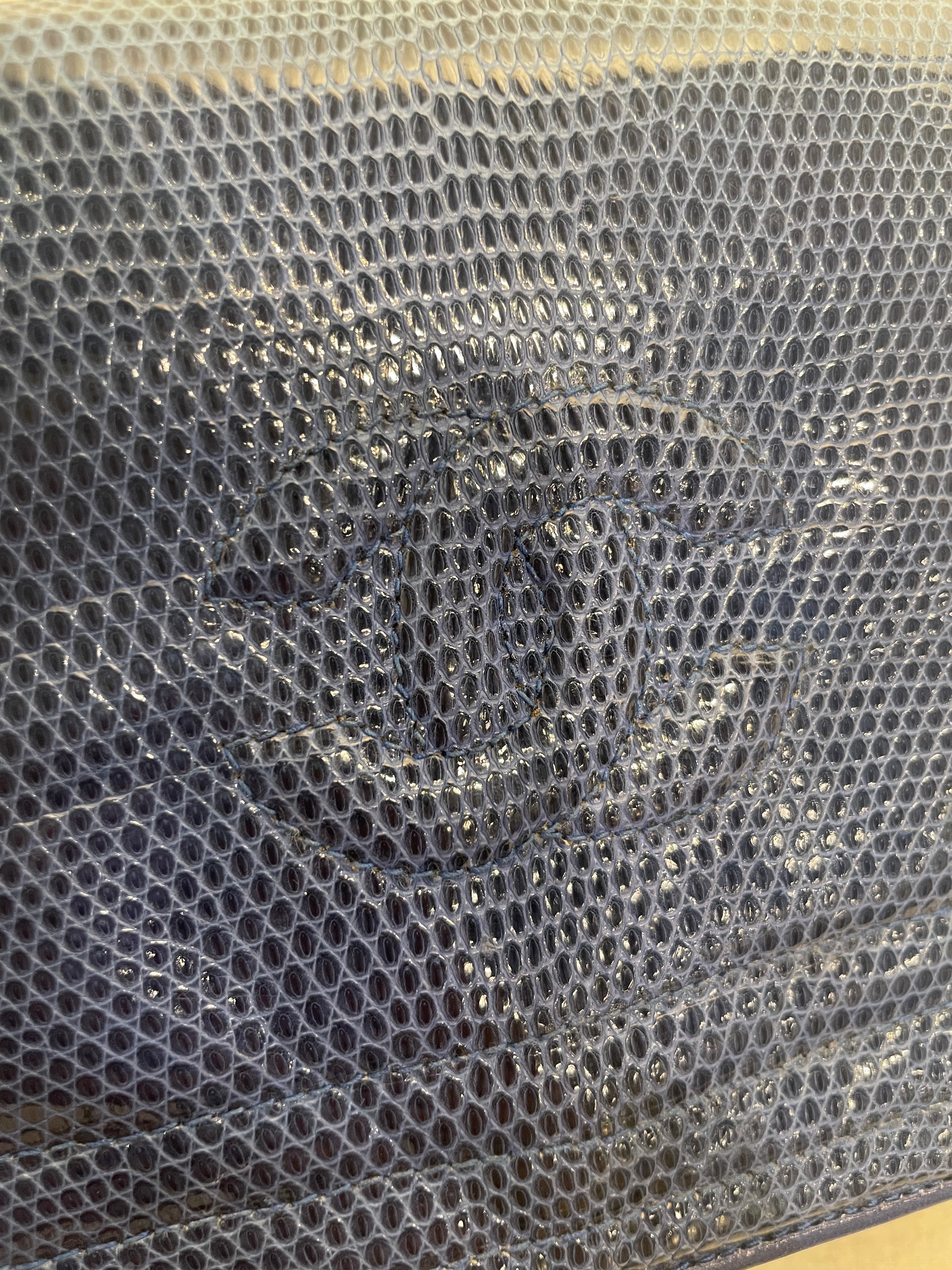 CHANEL/Cross Body Bag/Acrylic/BLU/lizard flap bag view 9