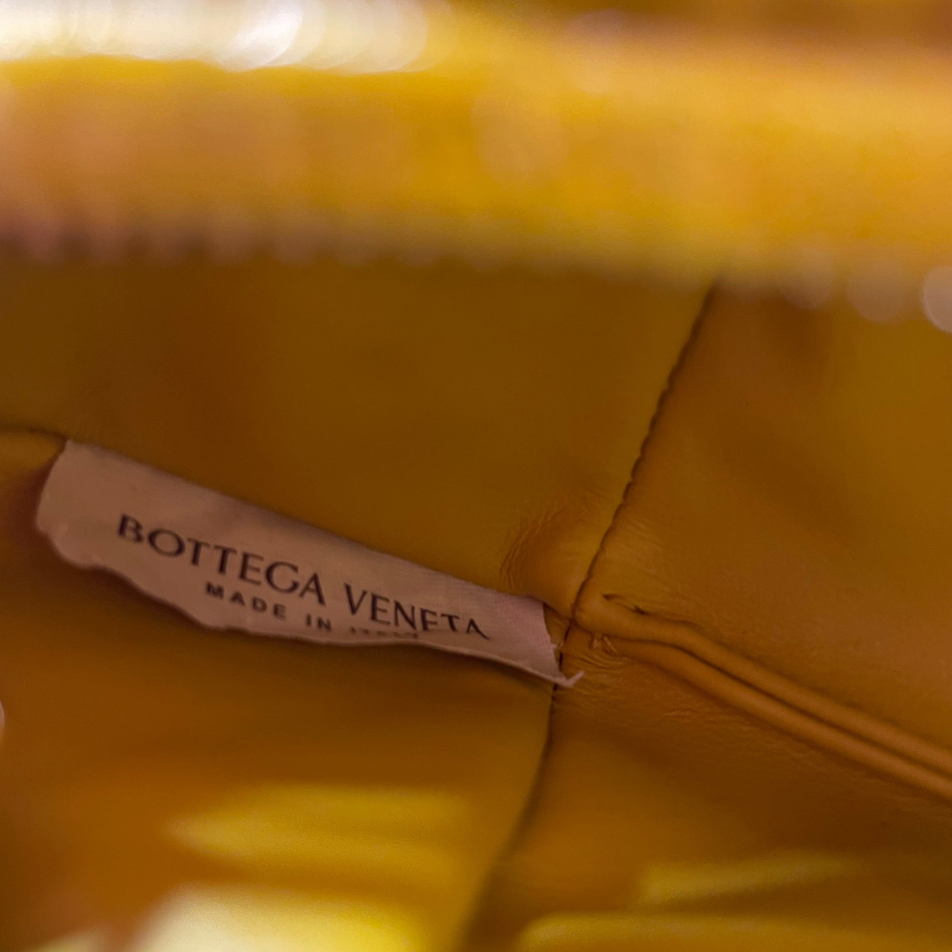 BOTTEGA VENETA/Bag/Iridescent/Leather/GLD/MINI JODIE view 3
