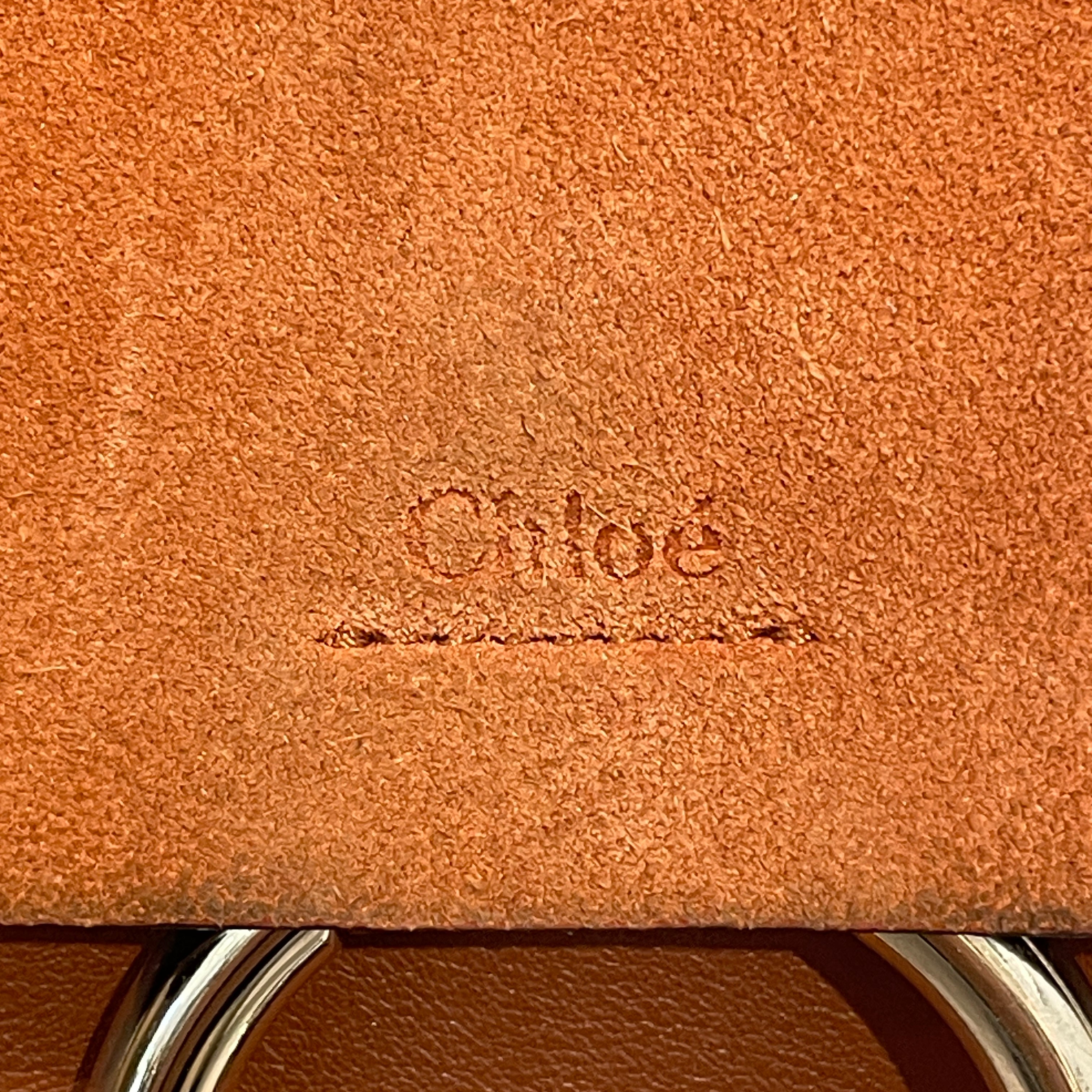 Chloe/Cross Body Bag/Leather/BRW/Faye Medium Calfskin Suede Bag view 5