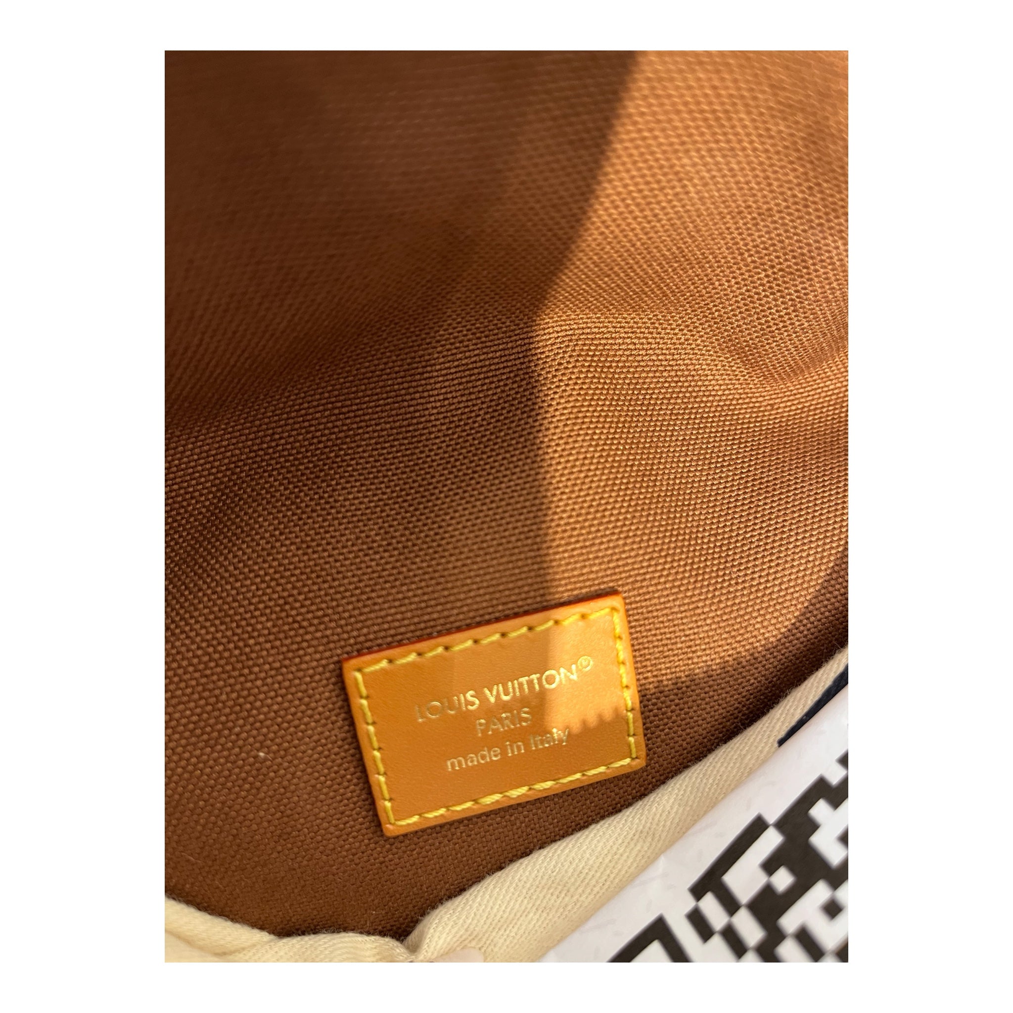 LOUIS VUITTON/Fanny Pack/All Over Print/Leather/BRW/RUSH BUMBAG view 4