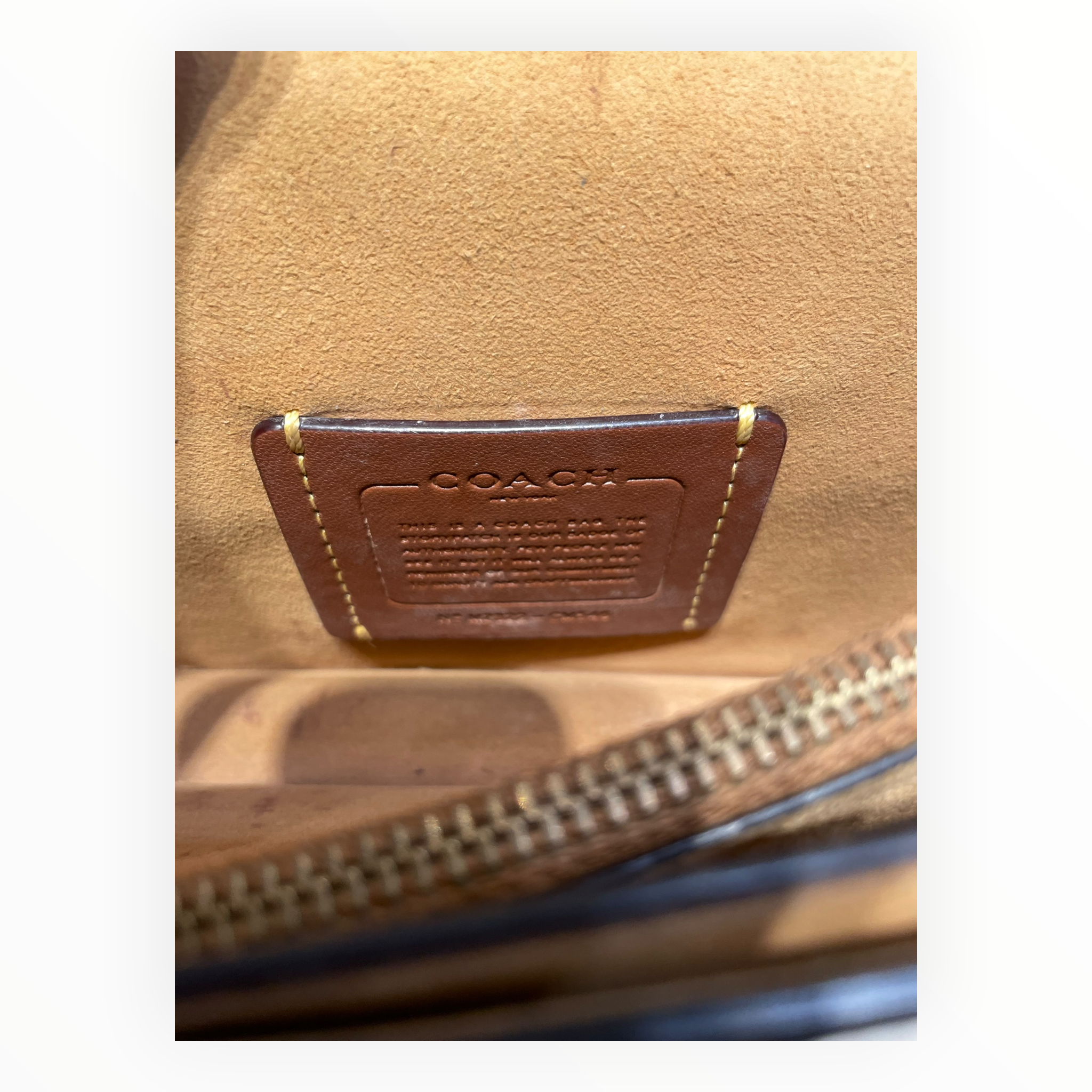 COACH/Hand Bag/Leather/WHT/tabby shoulder bag view 5