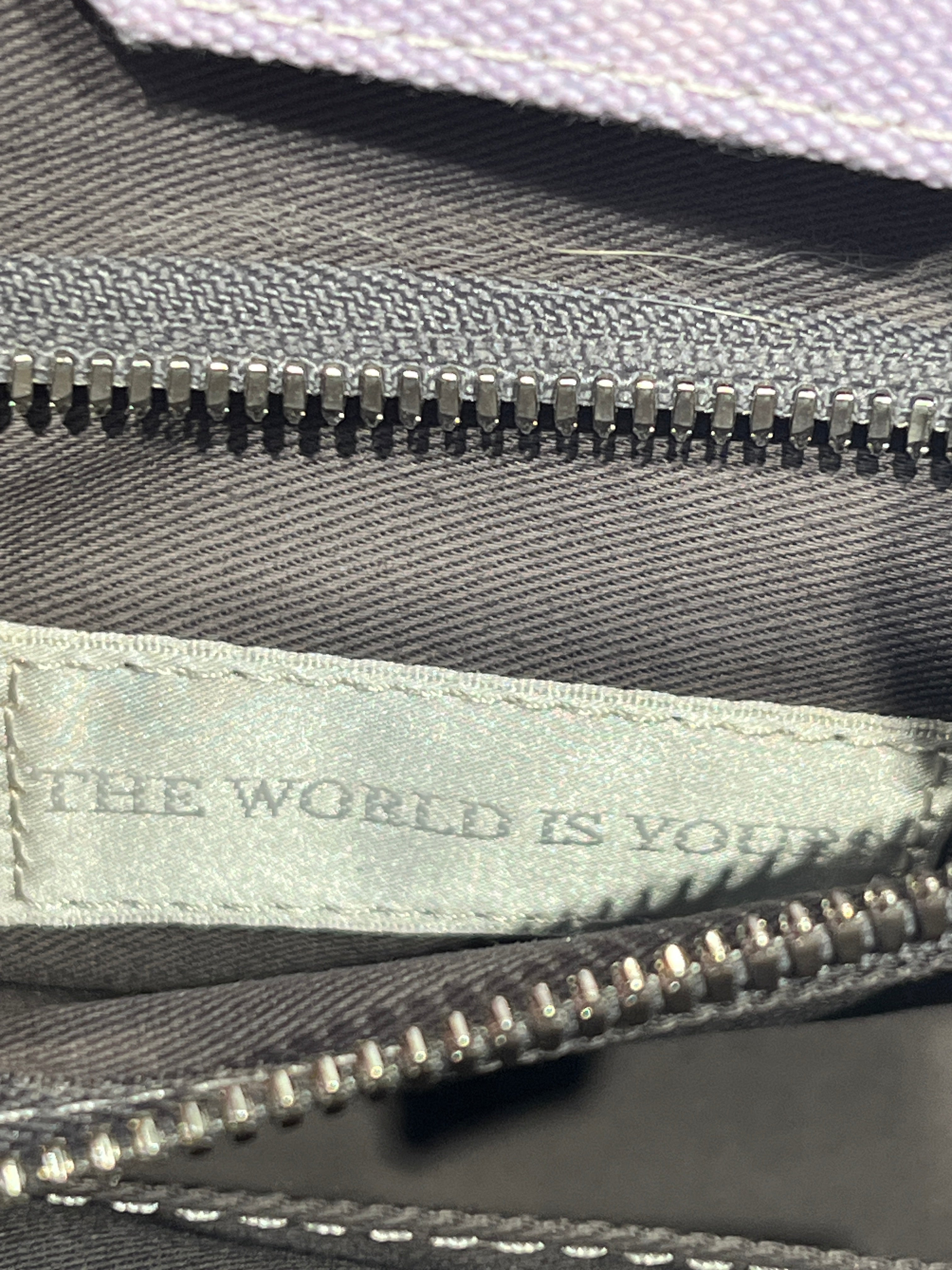 The World Is Yours/Hand Bag/All Over Print/Cotton/PPL/Bandana Print view 5
