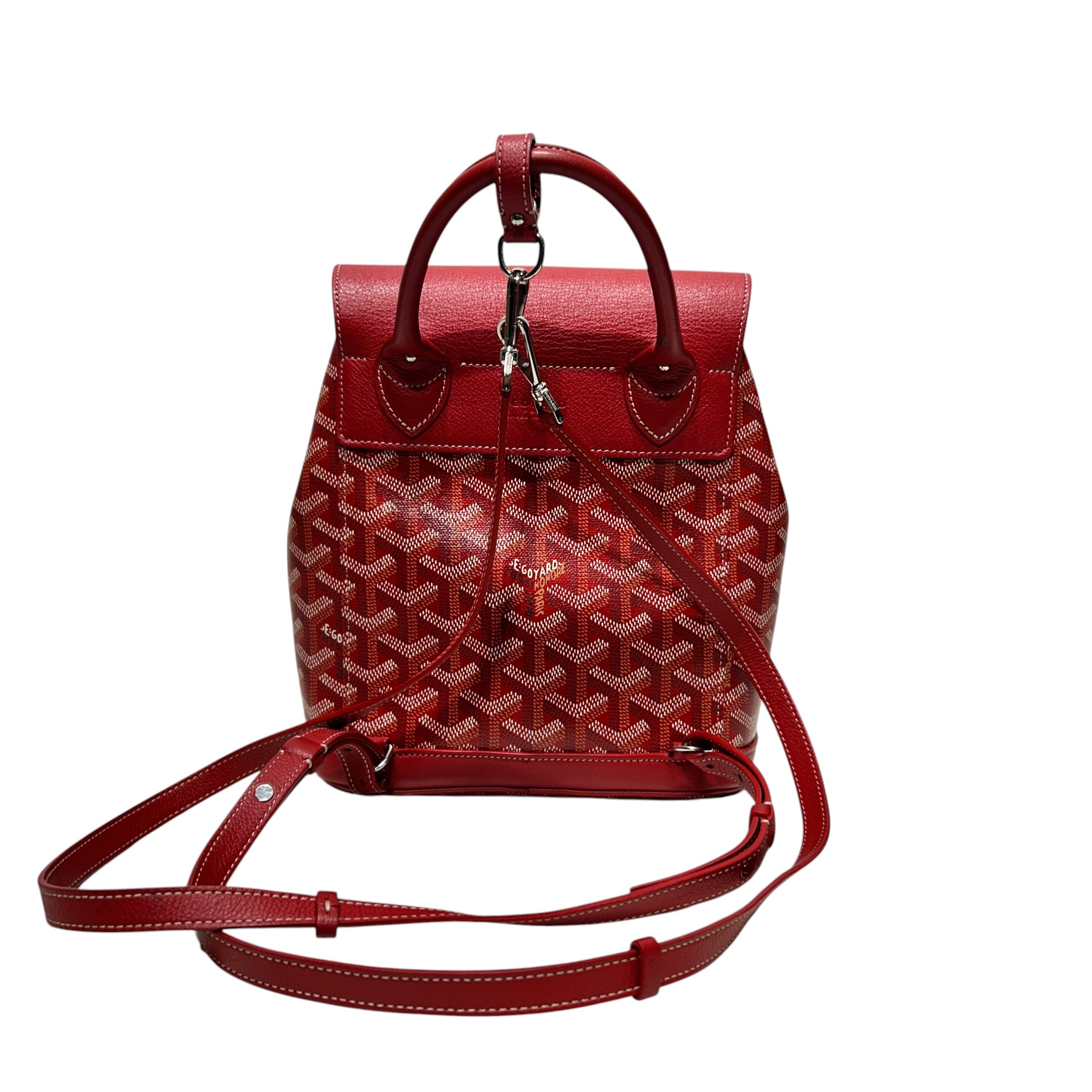GOYARD/Backpack/Leather/RED/alpin mini view 2