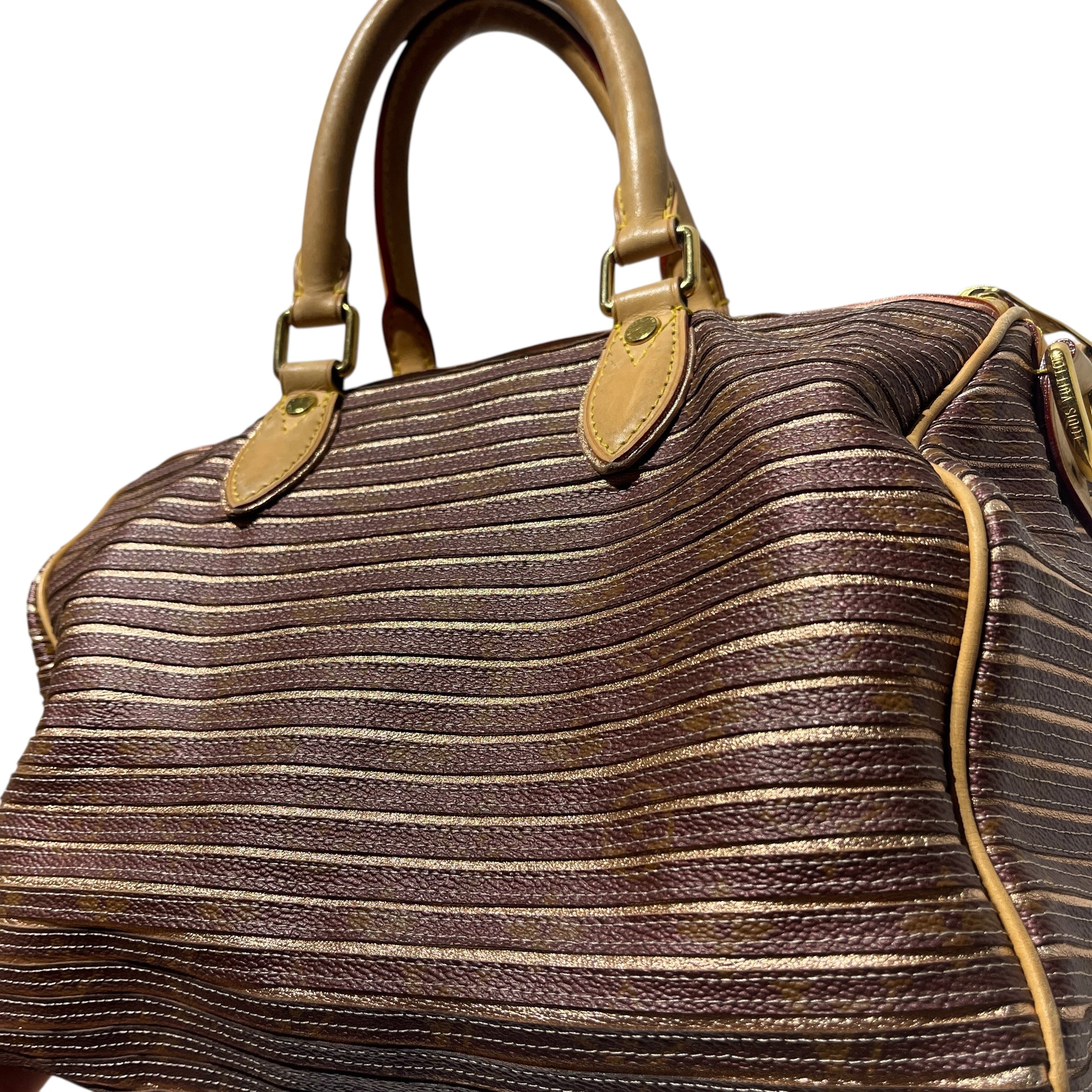 LOUIS VUITTON/Hand Bag/Stripe/Leather/BRD/EDEN SPEEDY BANDOULIERE view 3