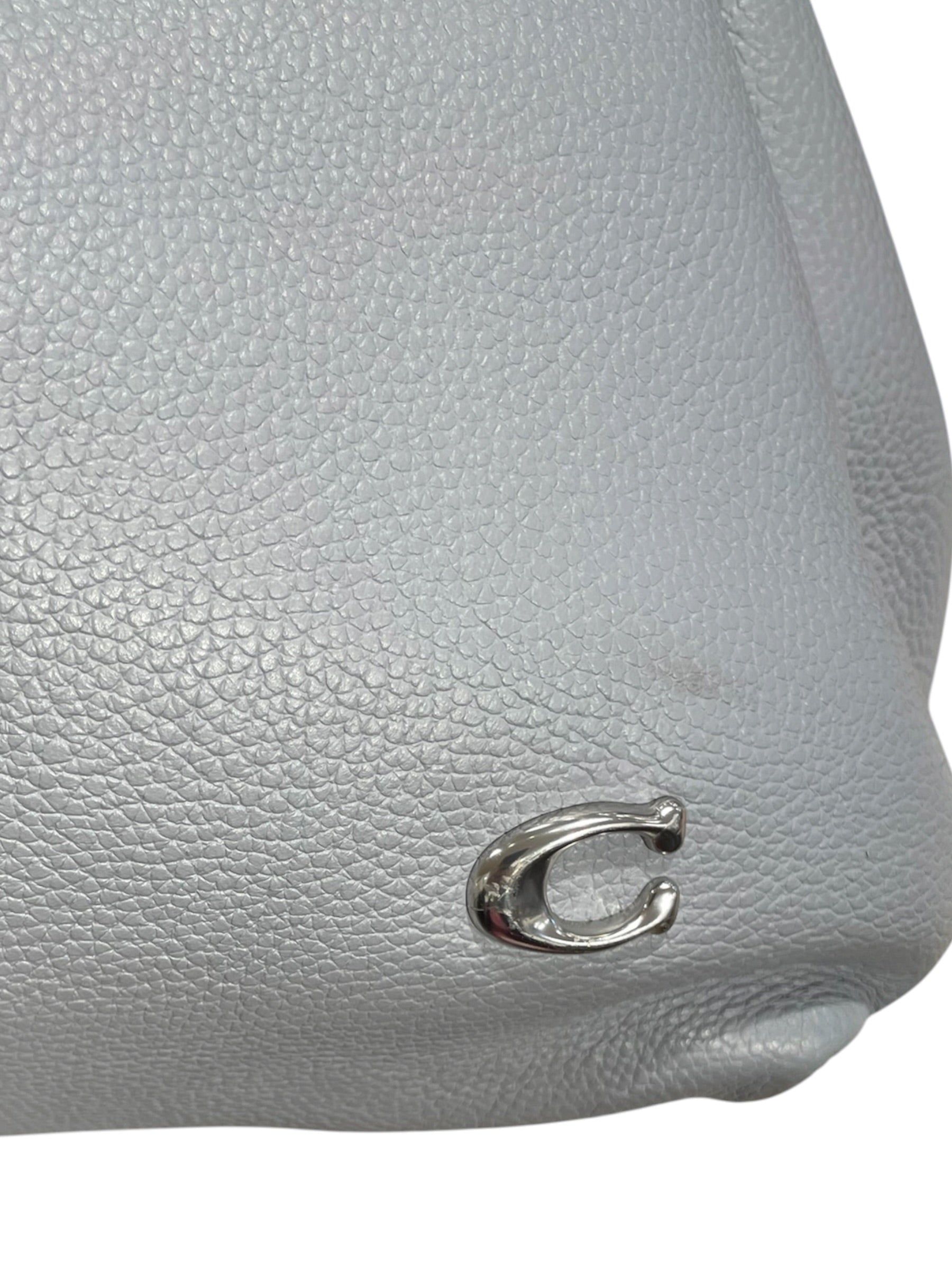 COACH/Tote Bag/Leather/BLU/LIGHT BLUE LANA view 6