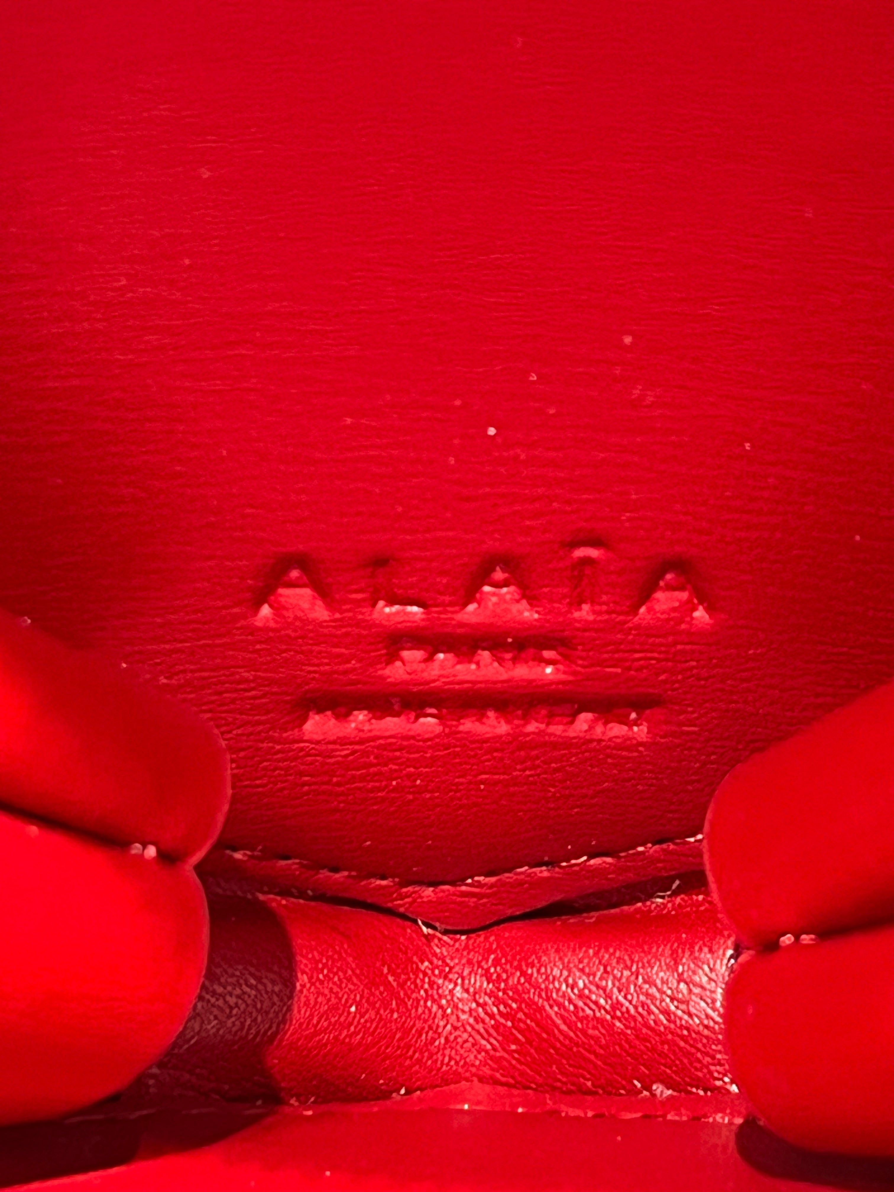 ALAIA/Cross Body Bag/S/Leather/RED/HEARTSHAPED view 6
