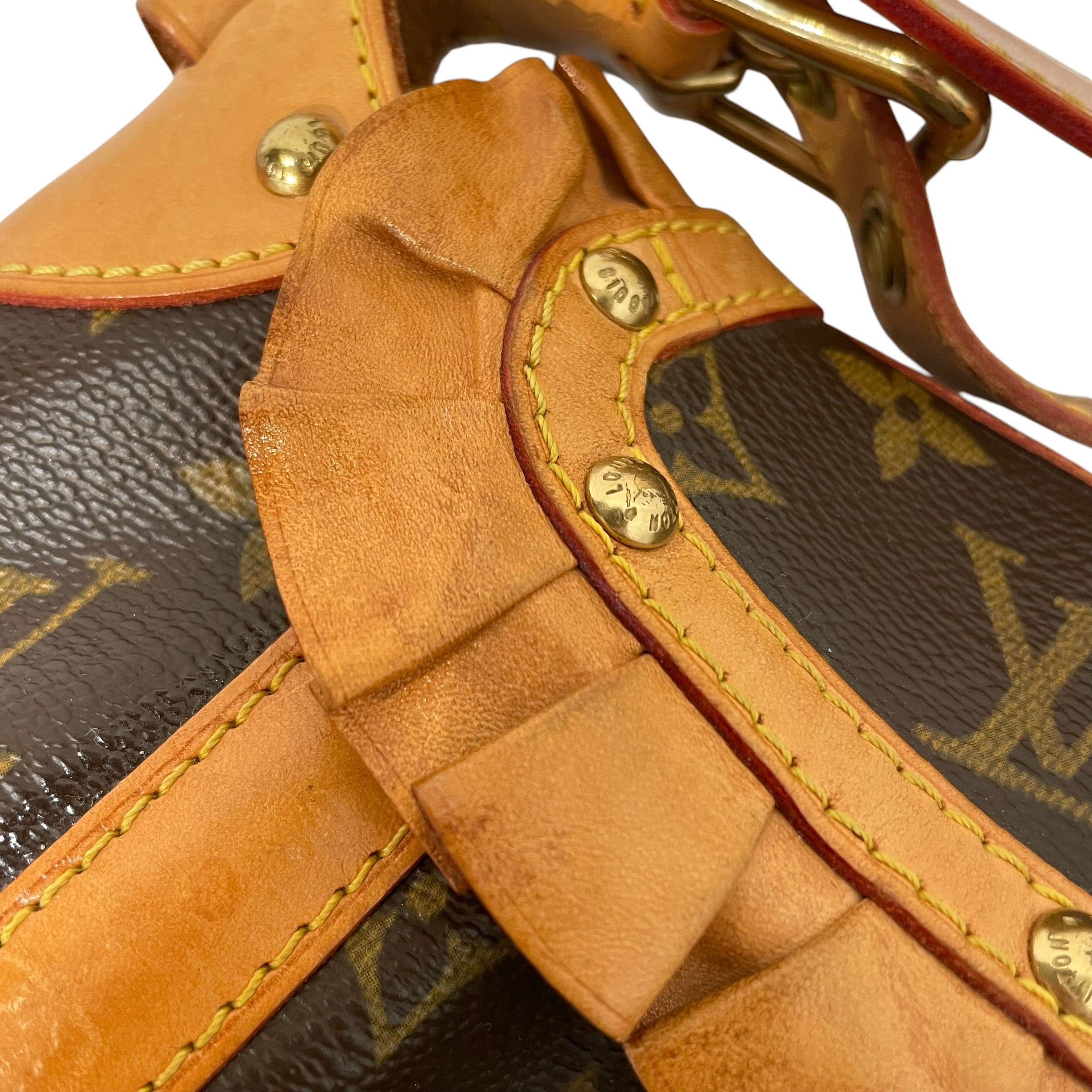 LOUIS VUITTON/Hand Bag/Monogram/Leather/BRW/leonor ruffle view 9