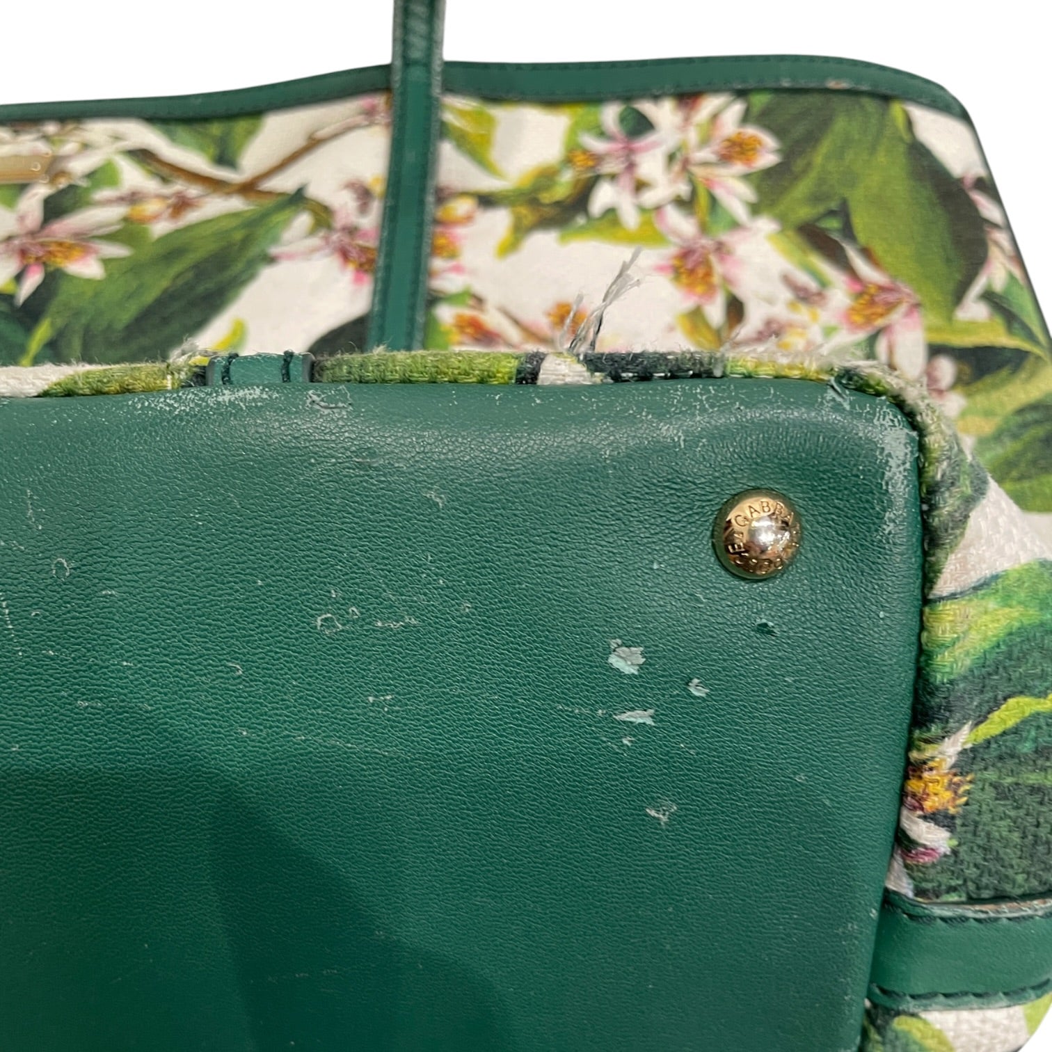 DOLCE&GABBANA/Tote Bag/OS/Floral Pattern/Cotton/MLT/GREEN LEATHER WITH FLORAL view 9