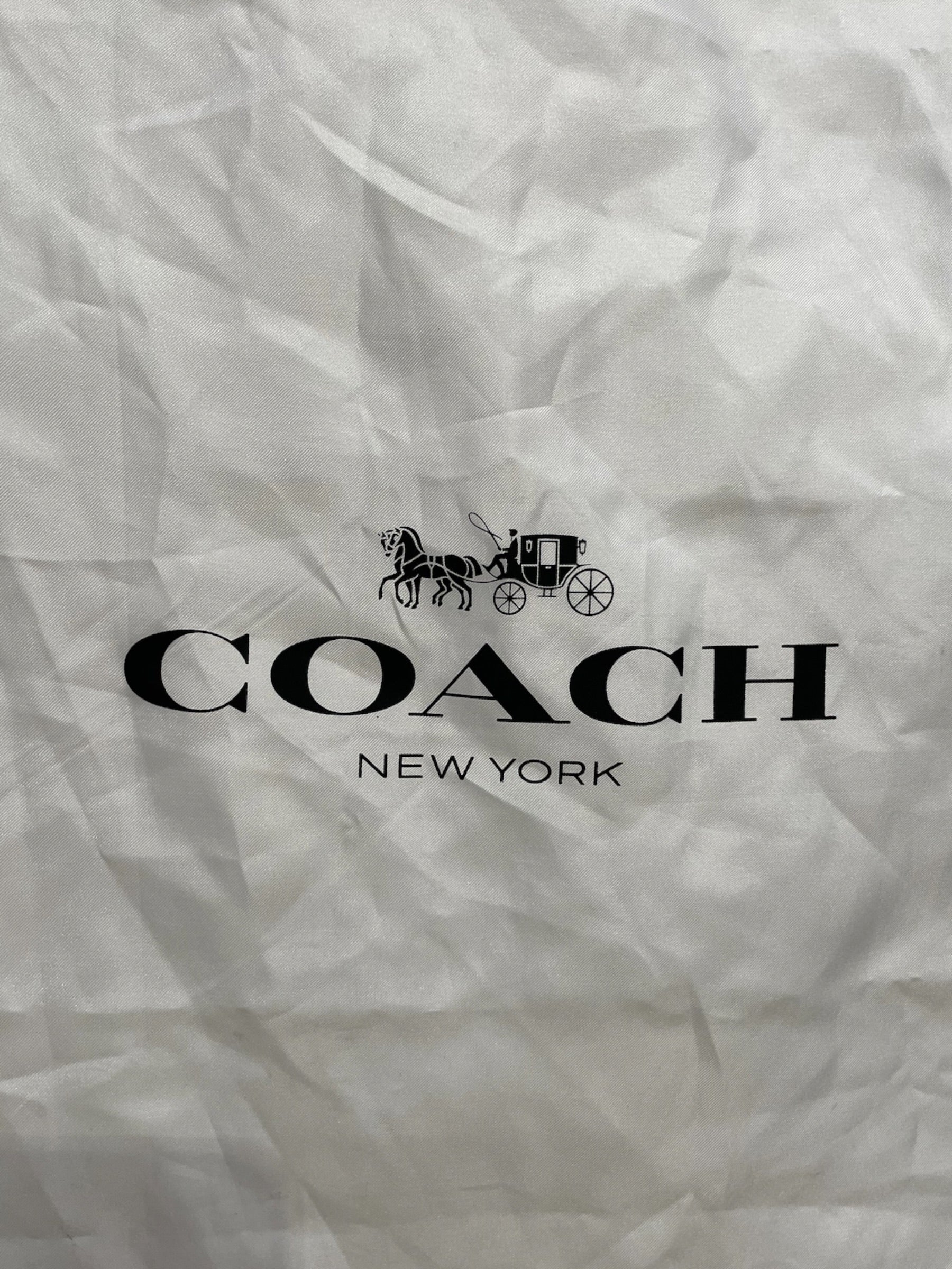 COACH/Tote Bag/Leather/BLU/LIGHT BLUE LANA view 8