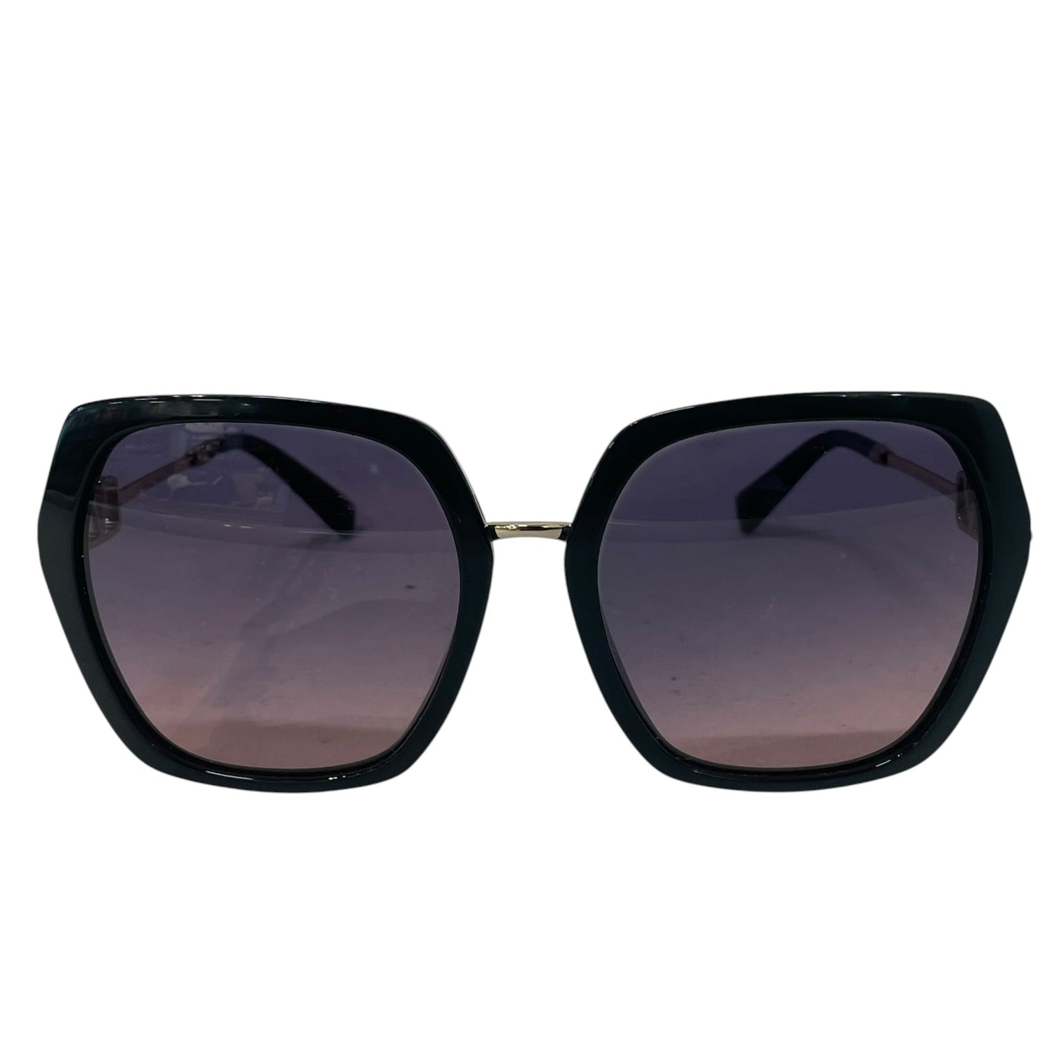 VALENTINO/Sunglasses/Metal/BLK/VA4081 view 1