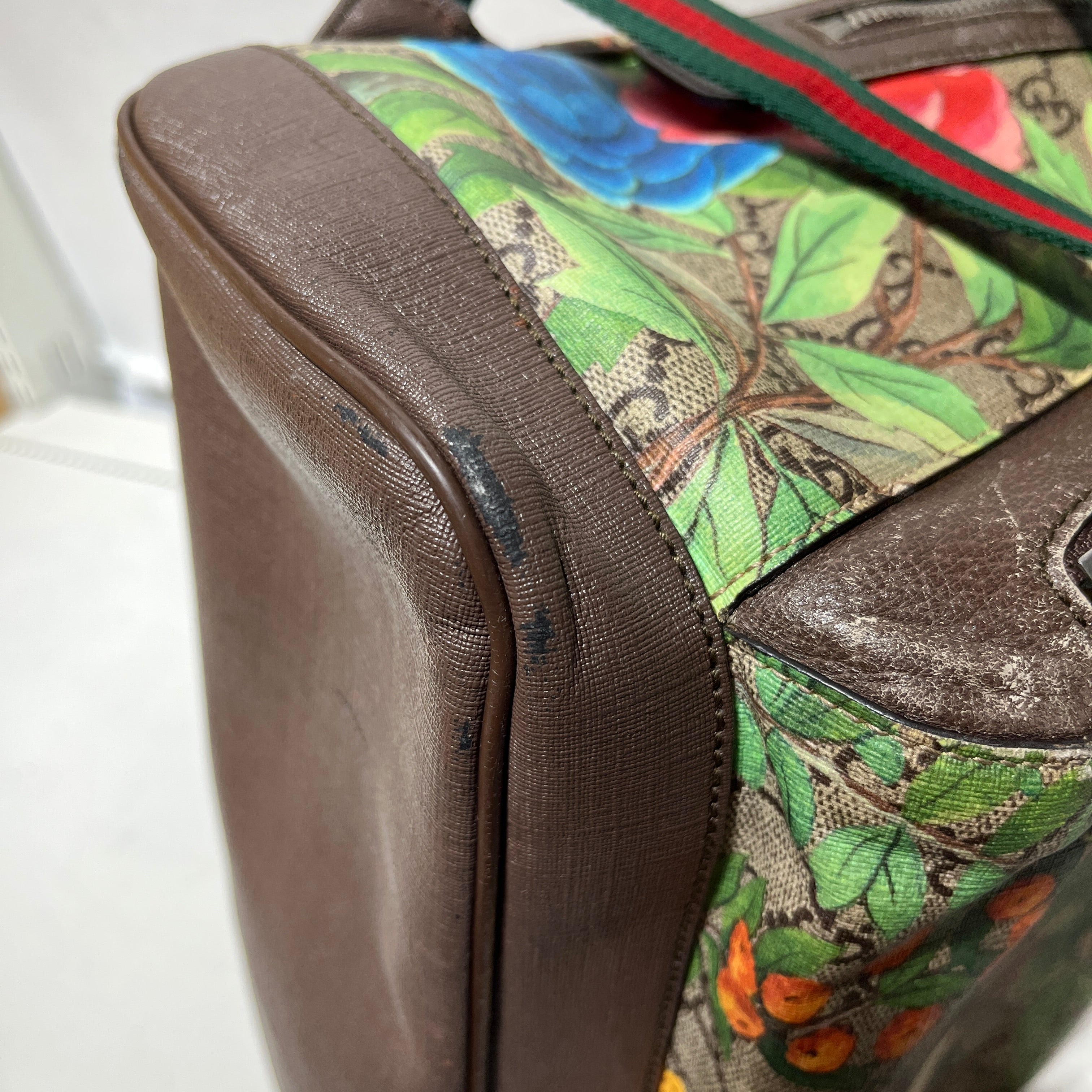 GUCCI/Backpack/Monogram/Leather/BRW/GG Supreme Tian Print Backpack view 14