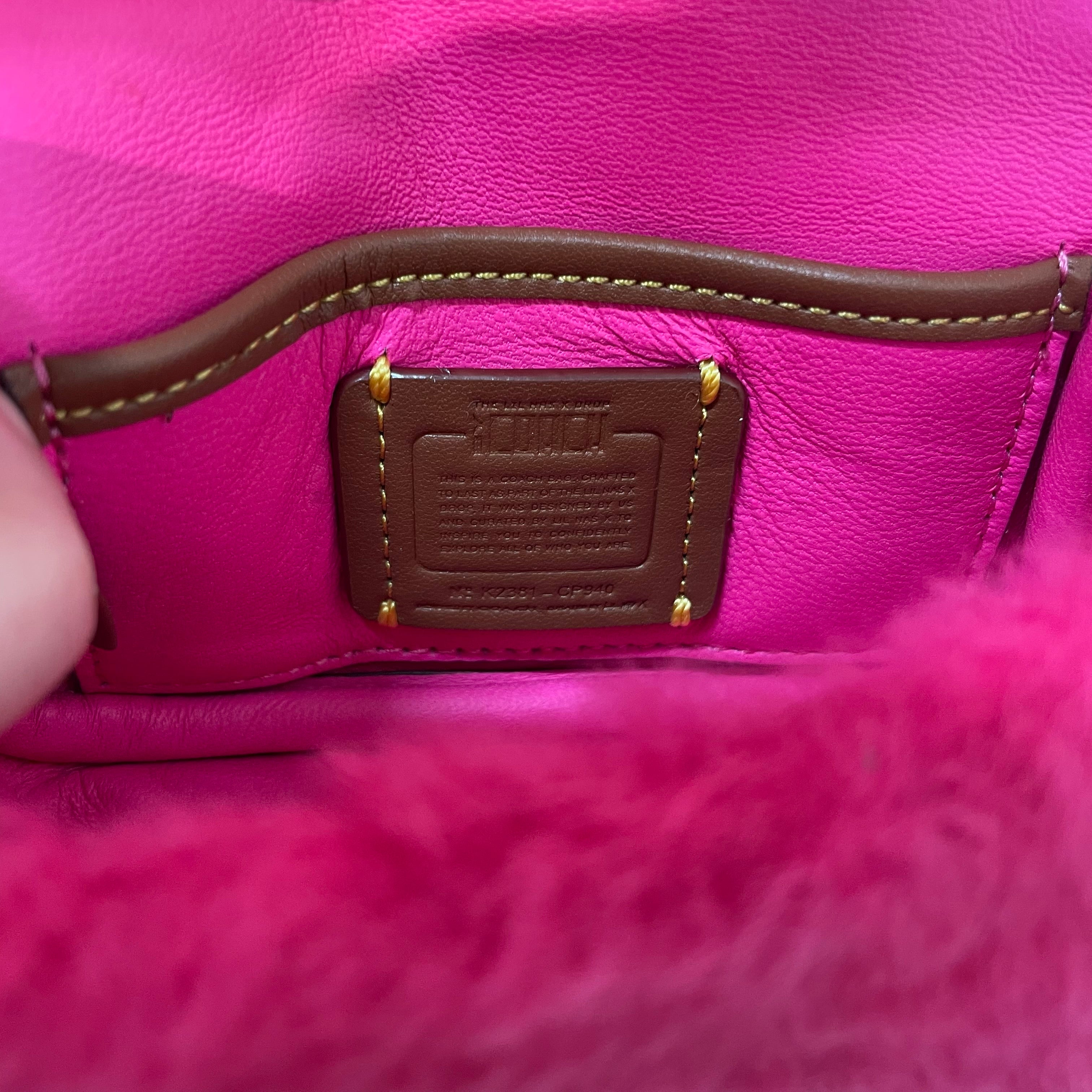COACH/Cross Body Bag/PNK/Lil Nas X Tabby 12 view 4