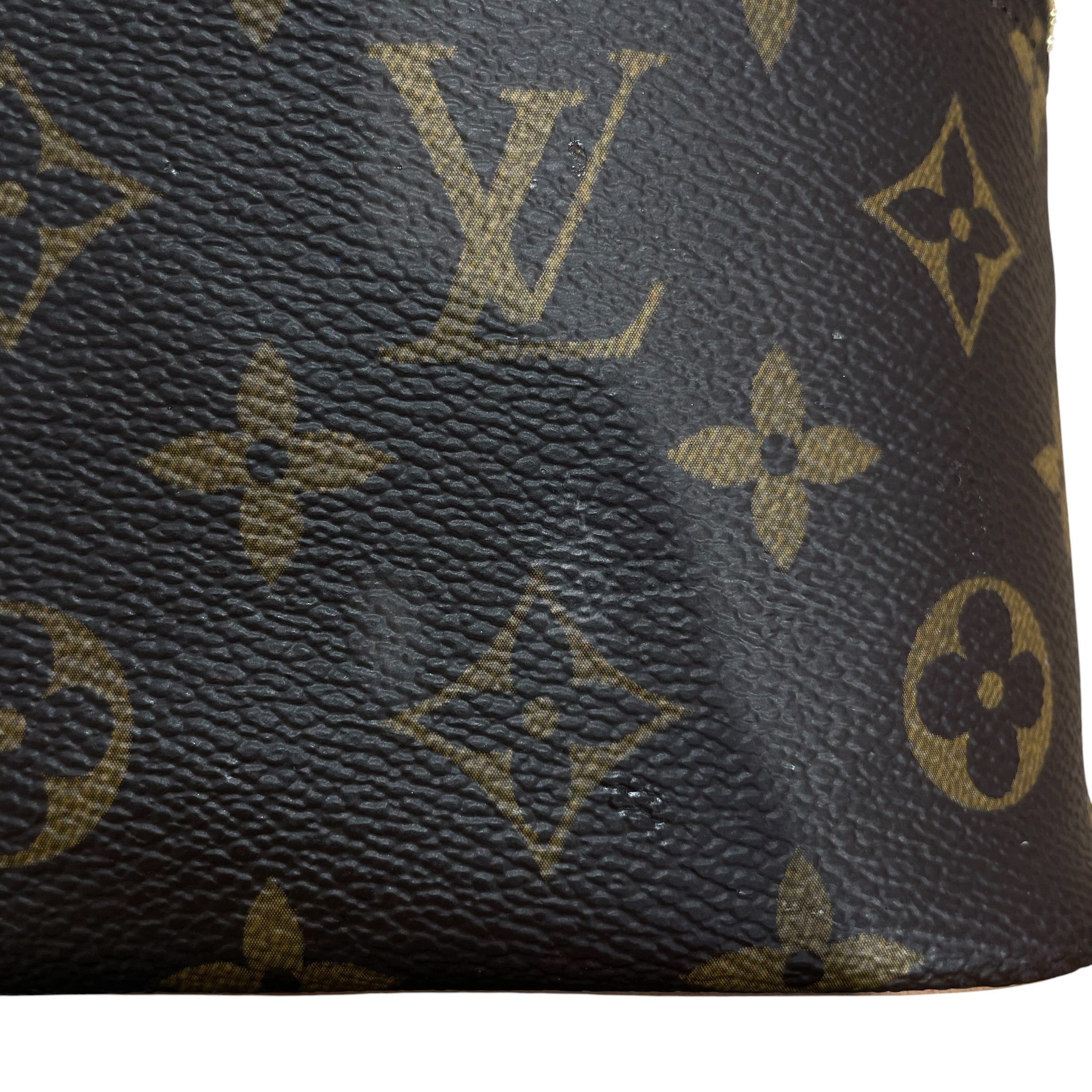 LOUIS VUITTON/Bag/Monogram/Leather/BRW/NICE MINI view 10
