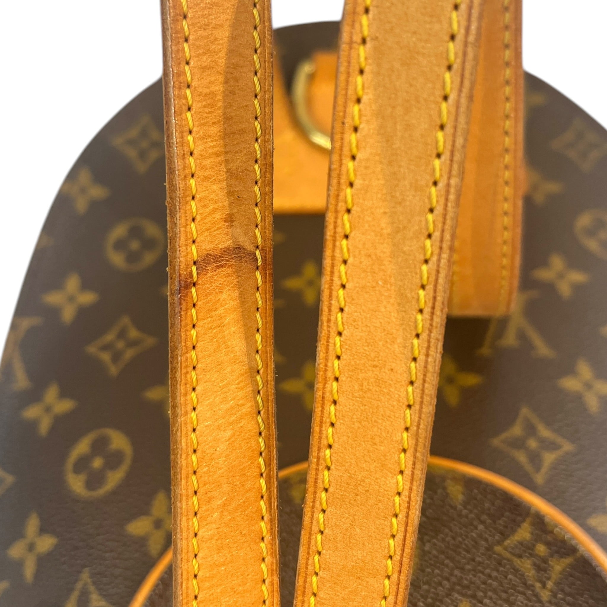 LOUIS VUITTON/Backpack/Hombre Check/Leather/BRW/MONOGRAM ELLIPSE view 9