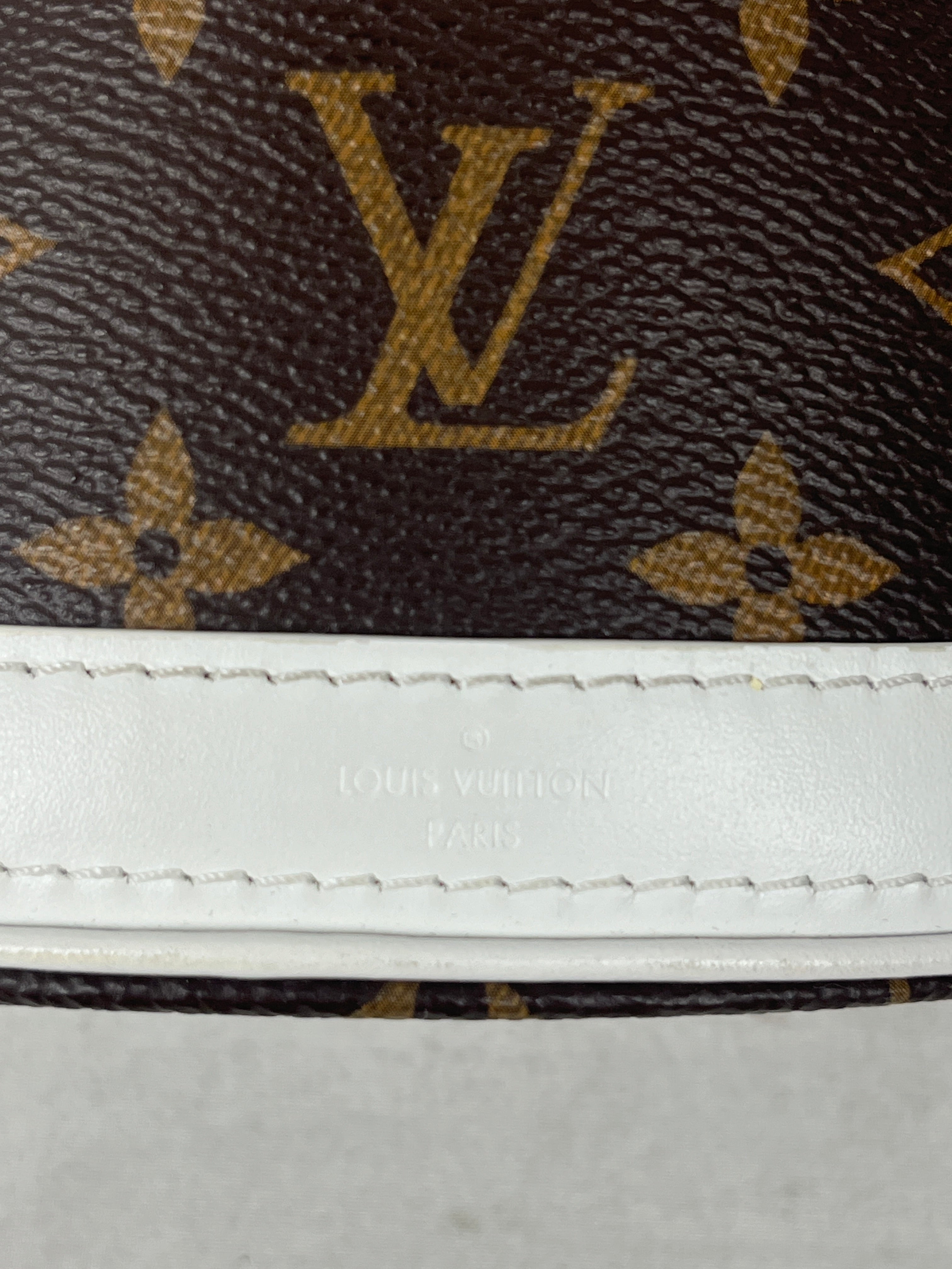 LOUIS VUITTON/Bag/All Over Print/Leather/BRW/BUCKET BAG view 5