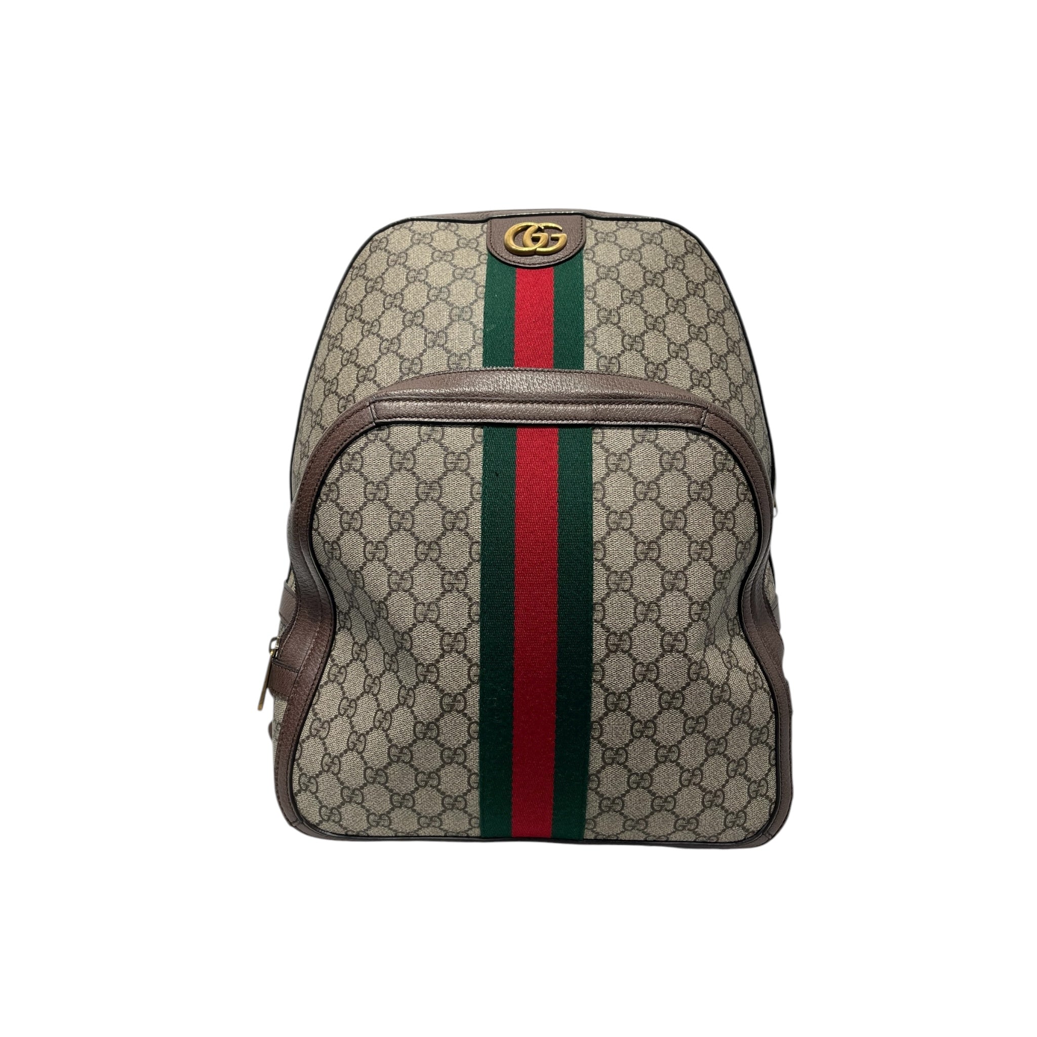 GUCCI/Backpack/All Over Print/Leather/MLT/Gucci Backpack view 1