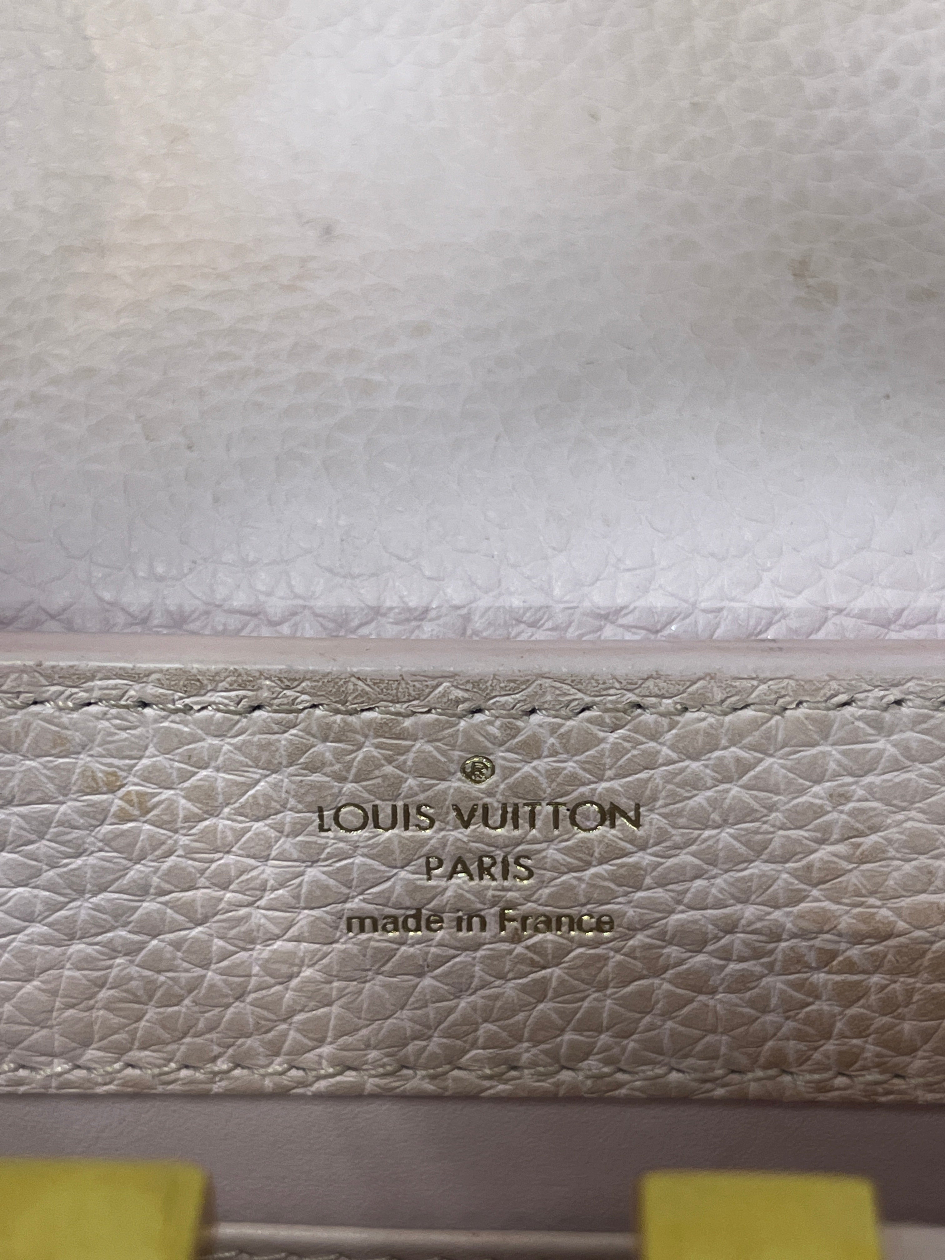 LOUIS VUITTON/Clutch Bag/Leather/PNK/TAURILLON SKI CAPUCINES SE view 6