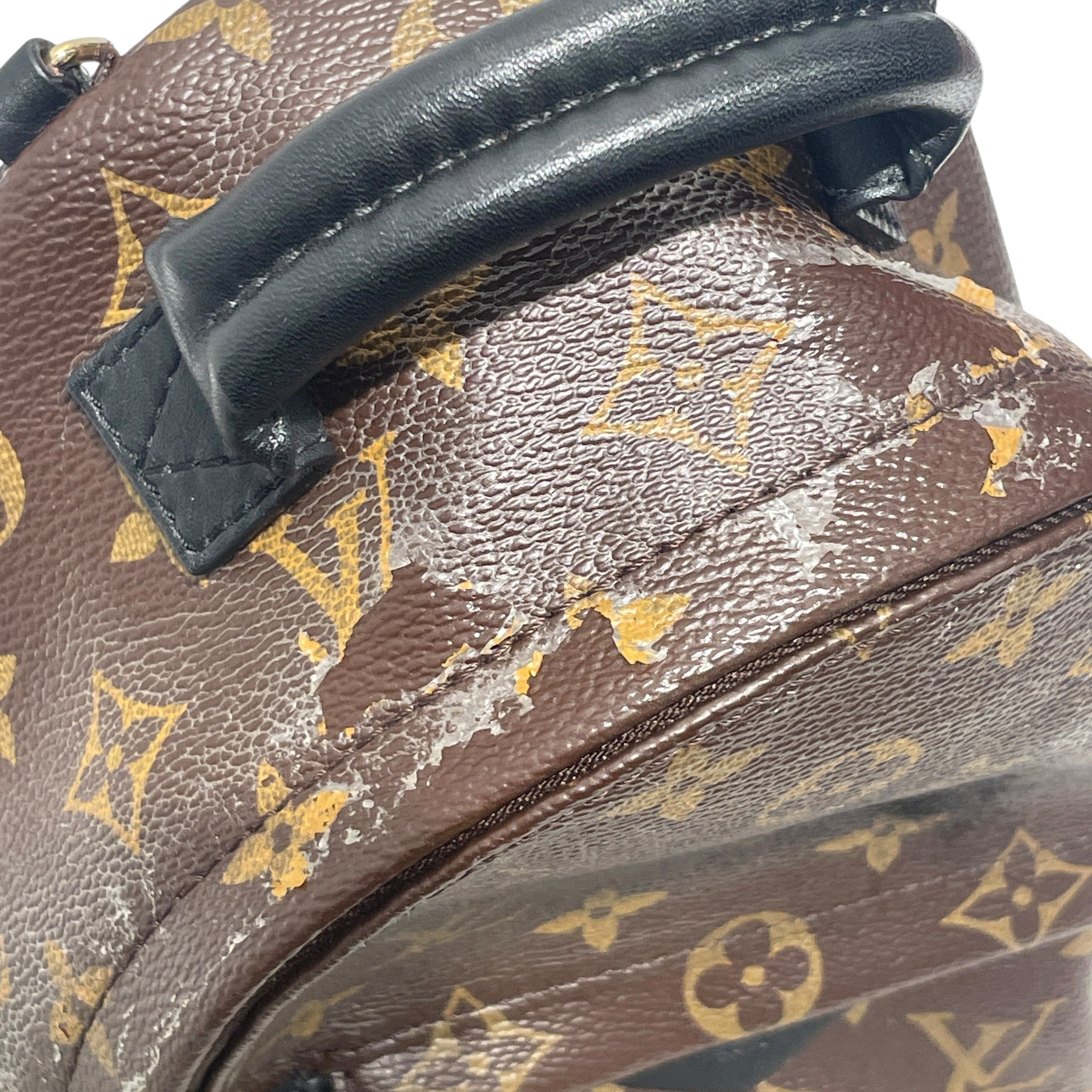 LOUIS VUITTON/Backpack/Monogram/Leather/BRW/PALM SPRINGS MINI view 6