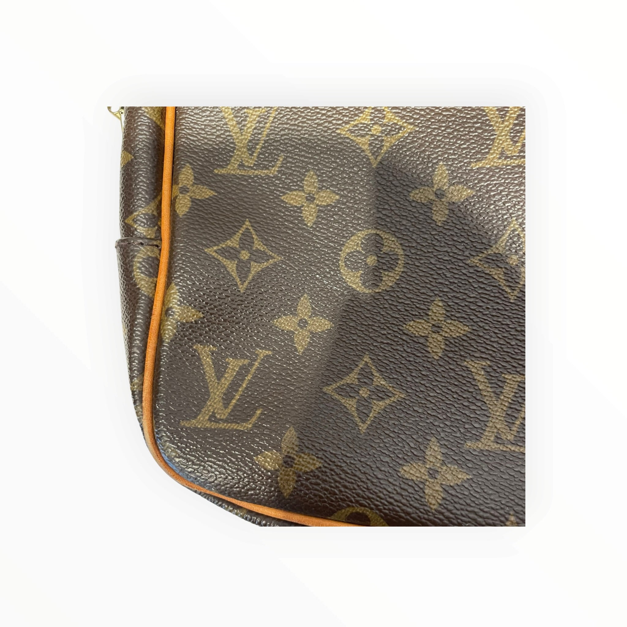 LOUIS VUITTON/Bag/Leather/BRW/Mono Porte-Doc Pegase view 6