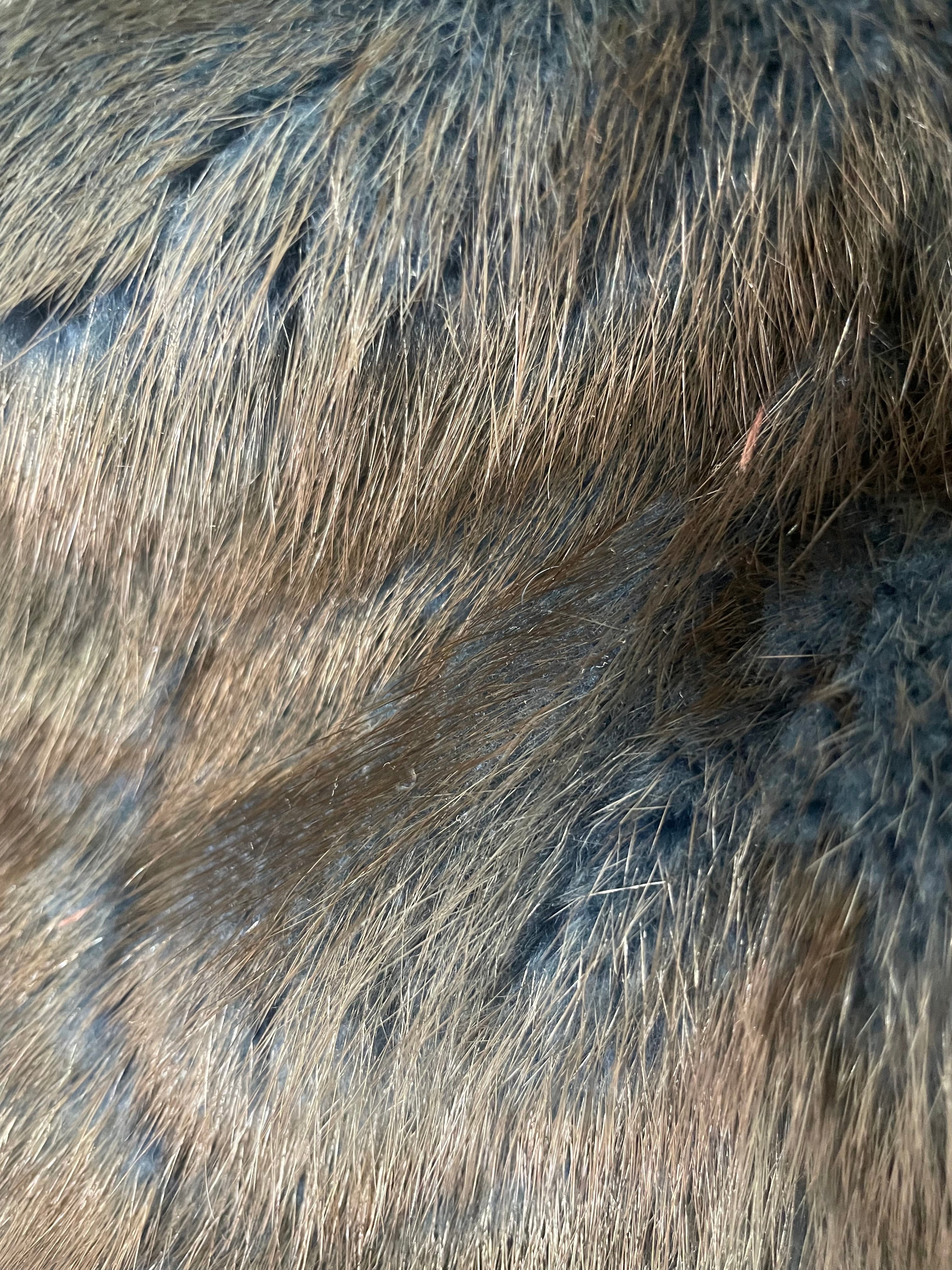 MODA MARTANI/Coat/XXXL/Fur/MLT/BLACK AND BLUE MINK FUR view 5