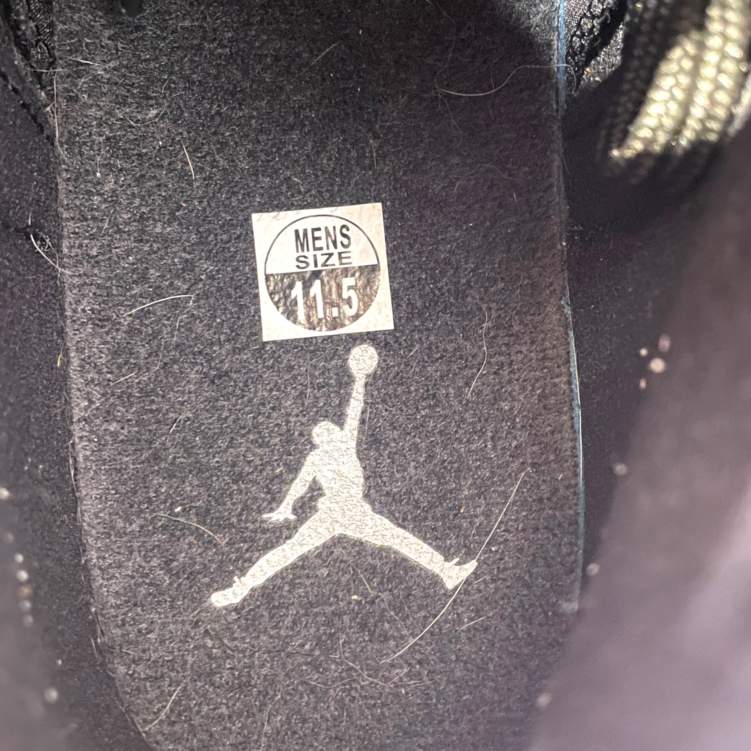 NIKE/Hi-Sneakers/US 11.5/Leather/BLK/jordan 12 retro the master view 3