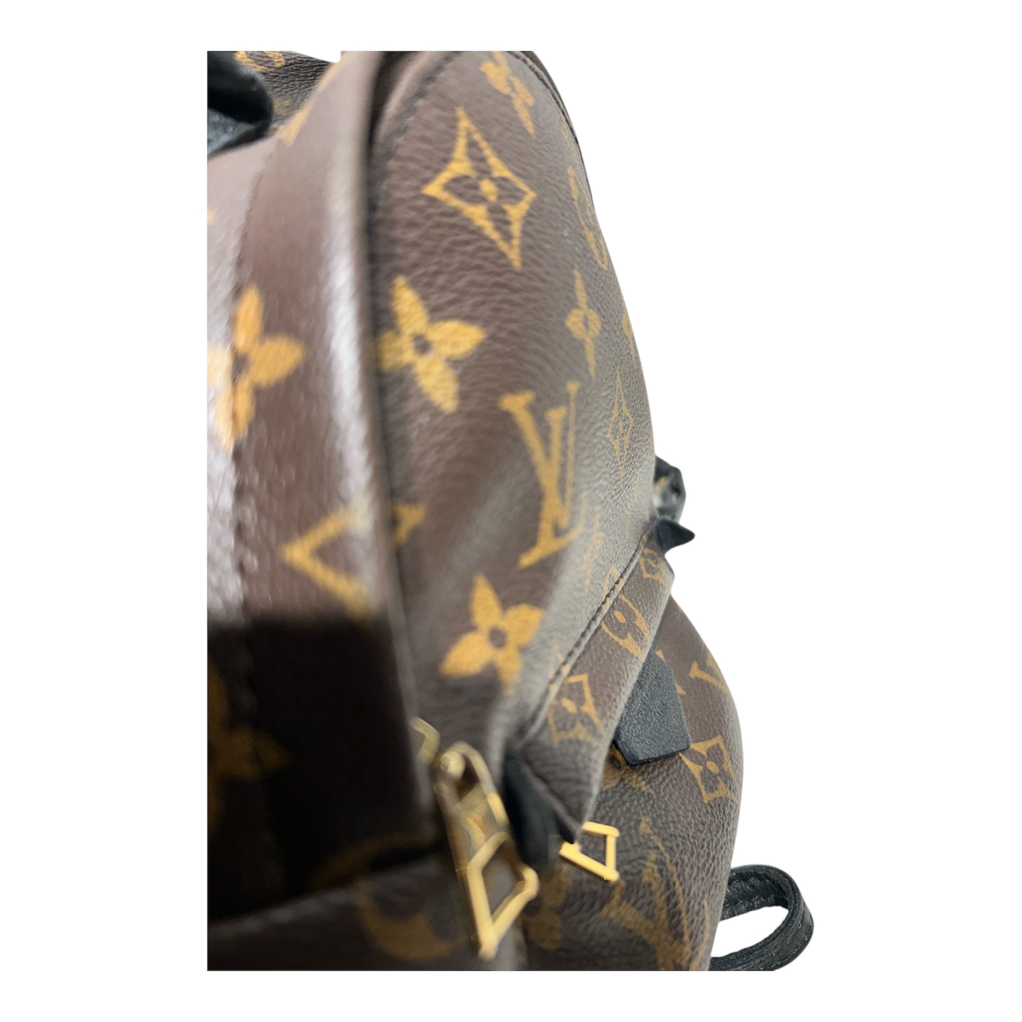 LOUIS VUITTON/Backpack/Monogram/Leather/BRW/MINI BACKPACK PALM SPRINGS view 6