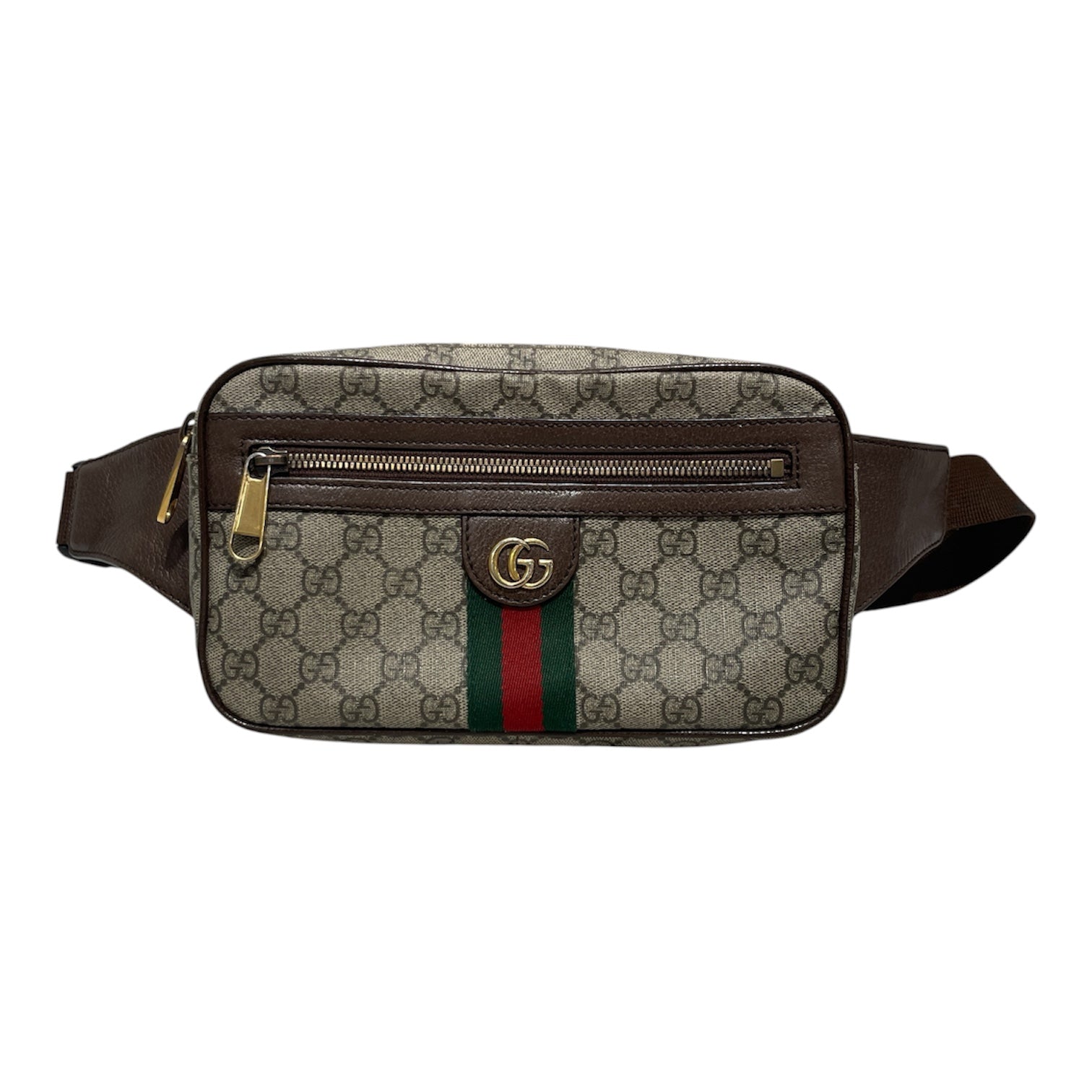 GUCCI/GUCCI/Fanny Pack/OPHIDIA BELT BAG/OPHIDIA BELT BAG view 1