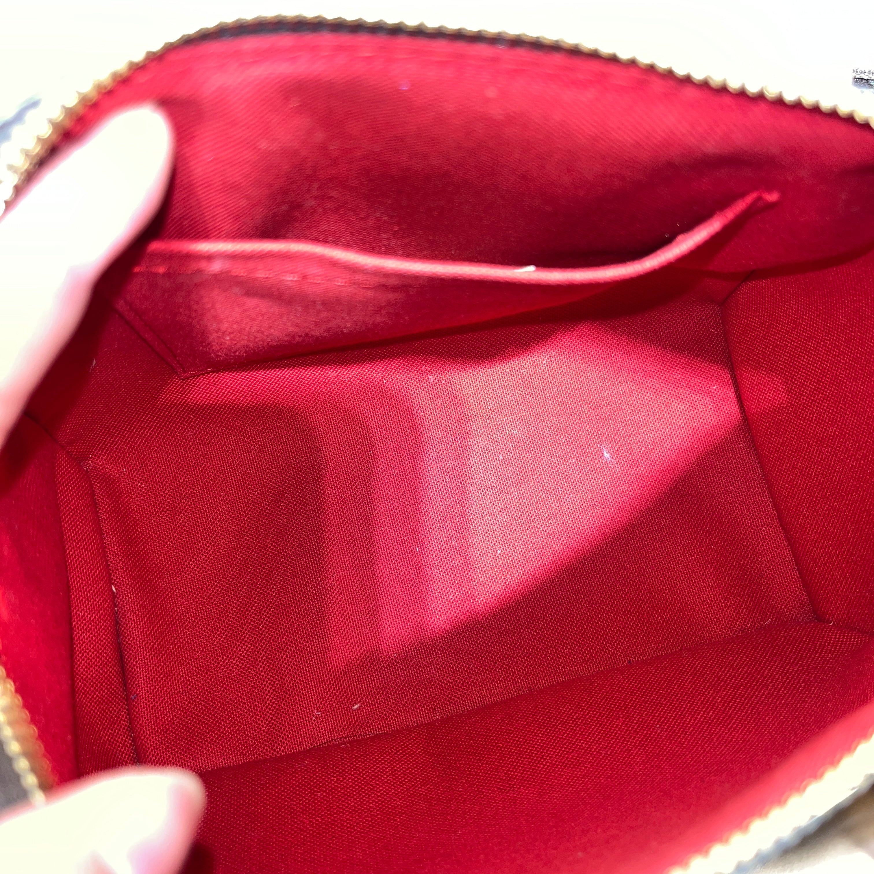 LOUIS VUITTON/Cross Body Bag/Monogram/BRW/SPEEDY 20 view 7
