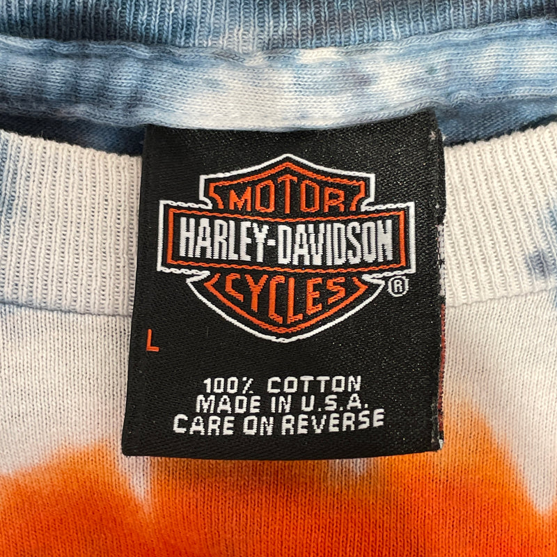 HARLEY DAVIDSON/T-Shirt/L/Cotton/MLT/PIGEON FORGE