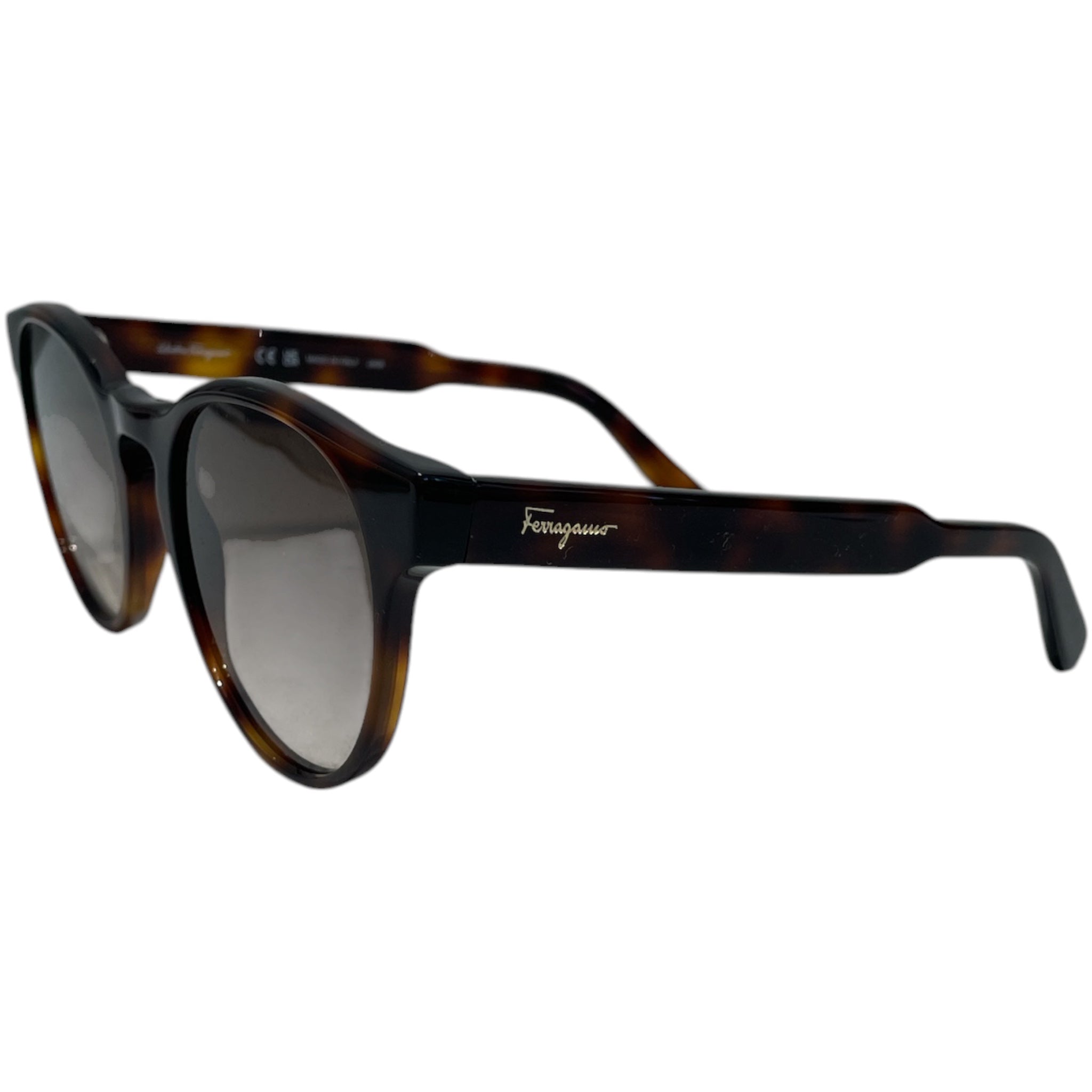 Salvatore Ferragamo/Sunglasses/Plastic/BRW/L's/SF1068S view 2