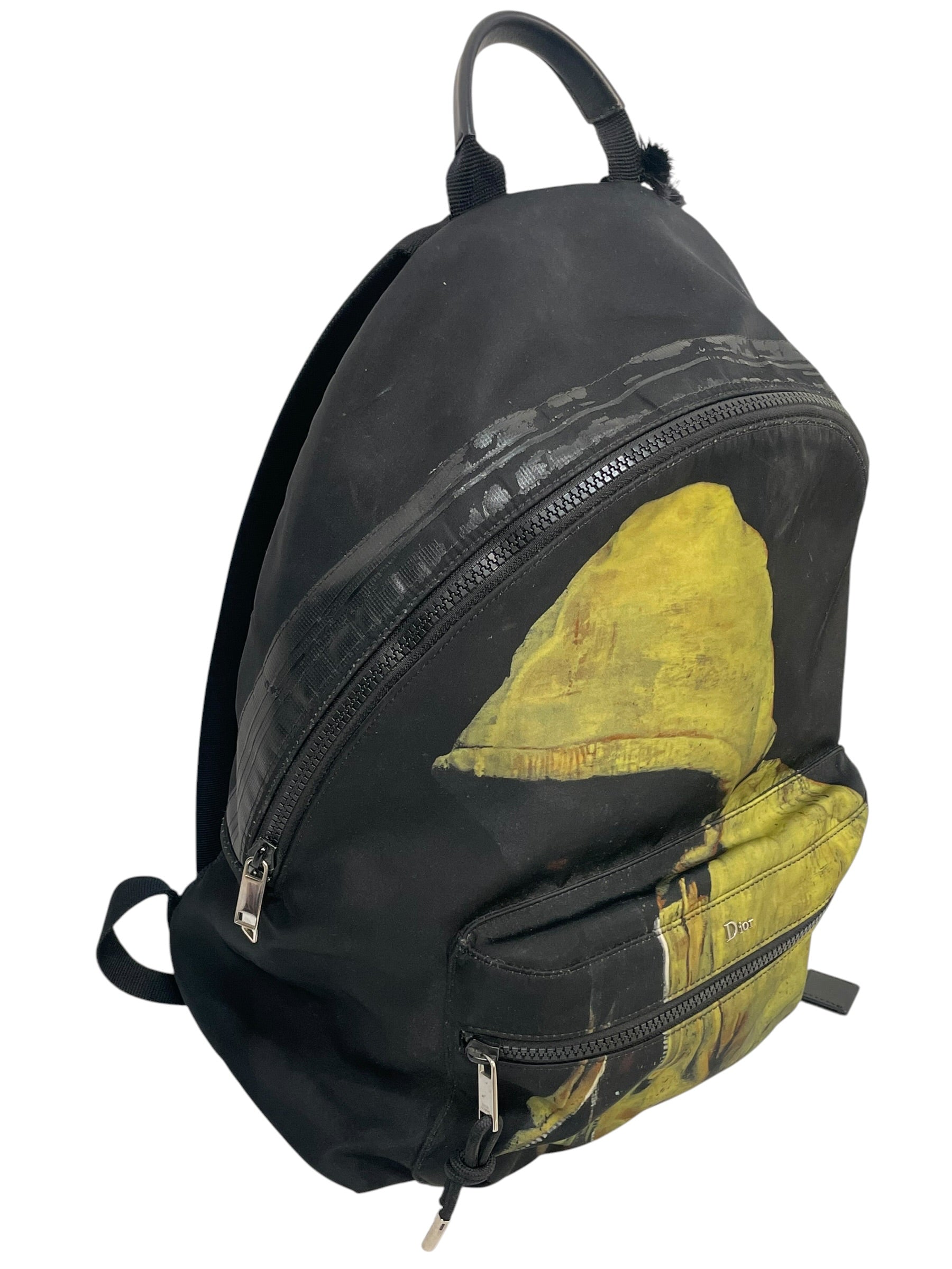 Dior HOMME/Backpack/Graphic/Nylon/BLK/francois bard view 4
