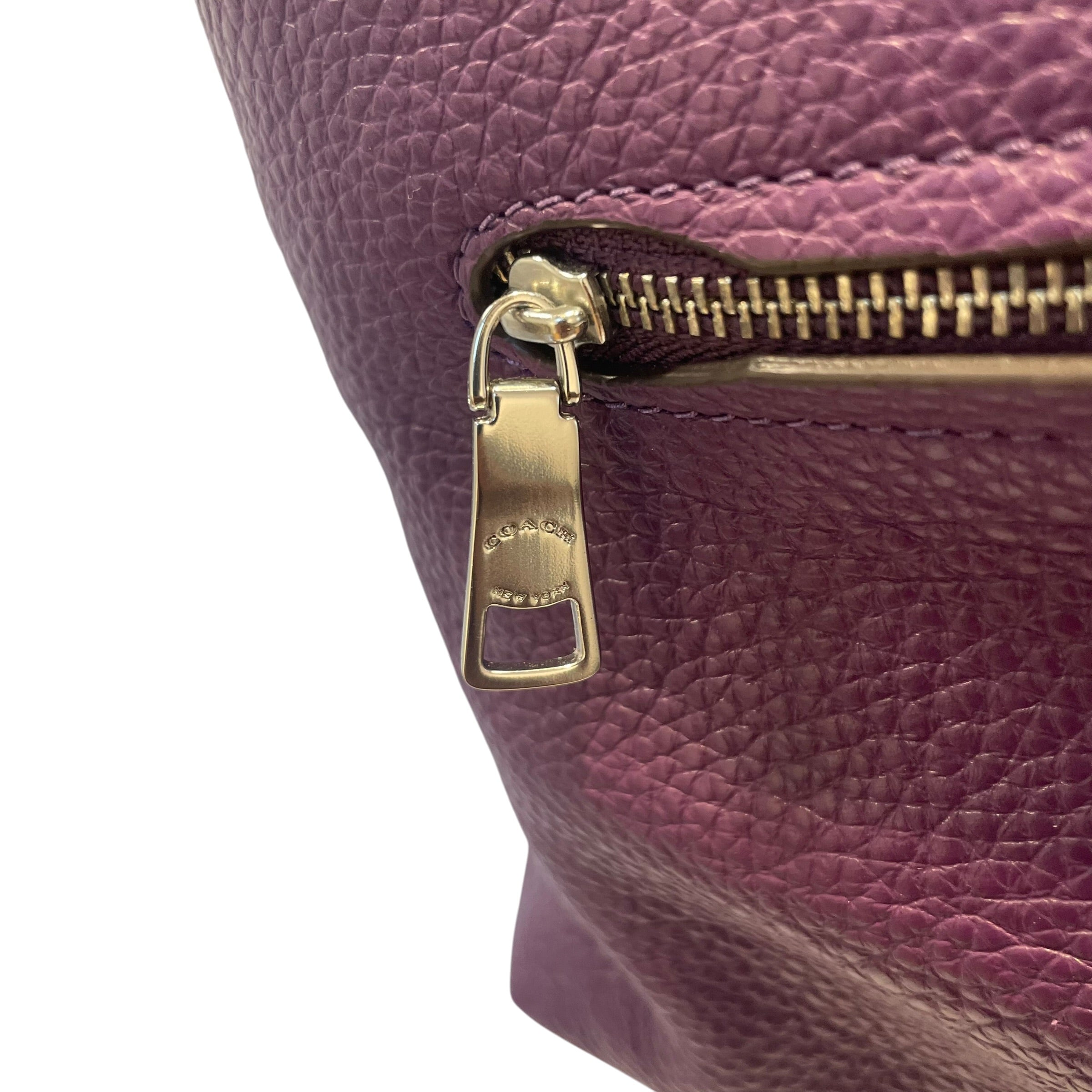 COACH/Backpack/Leather/PPL/ view 3