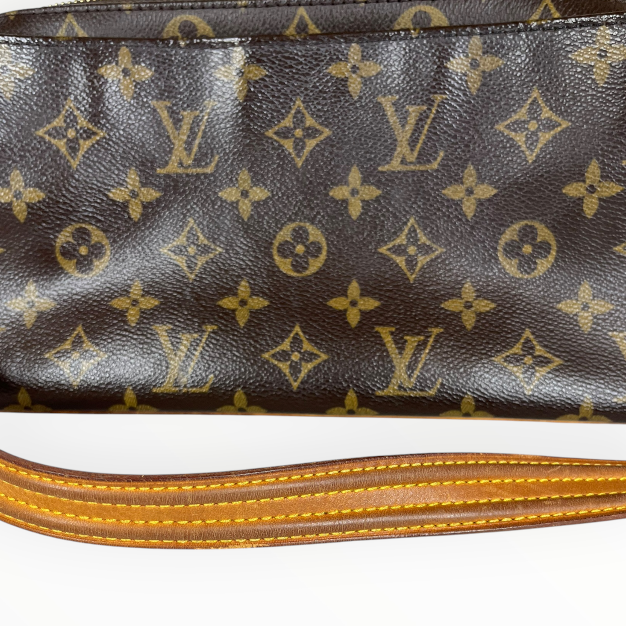 LOUIS VUITTON/Bag/Monogram/Leather/BRW/Viva Cite MM view 9