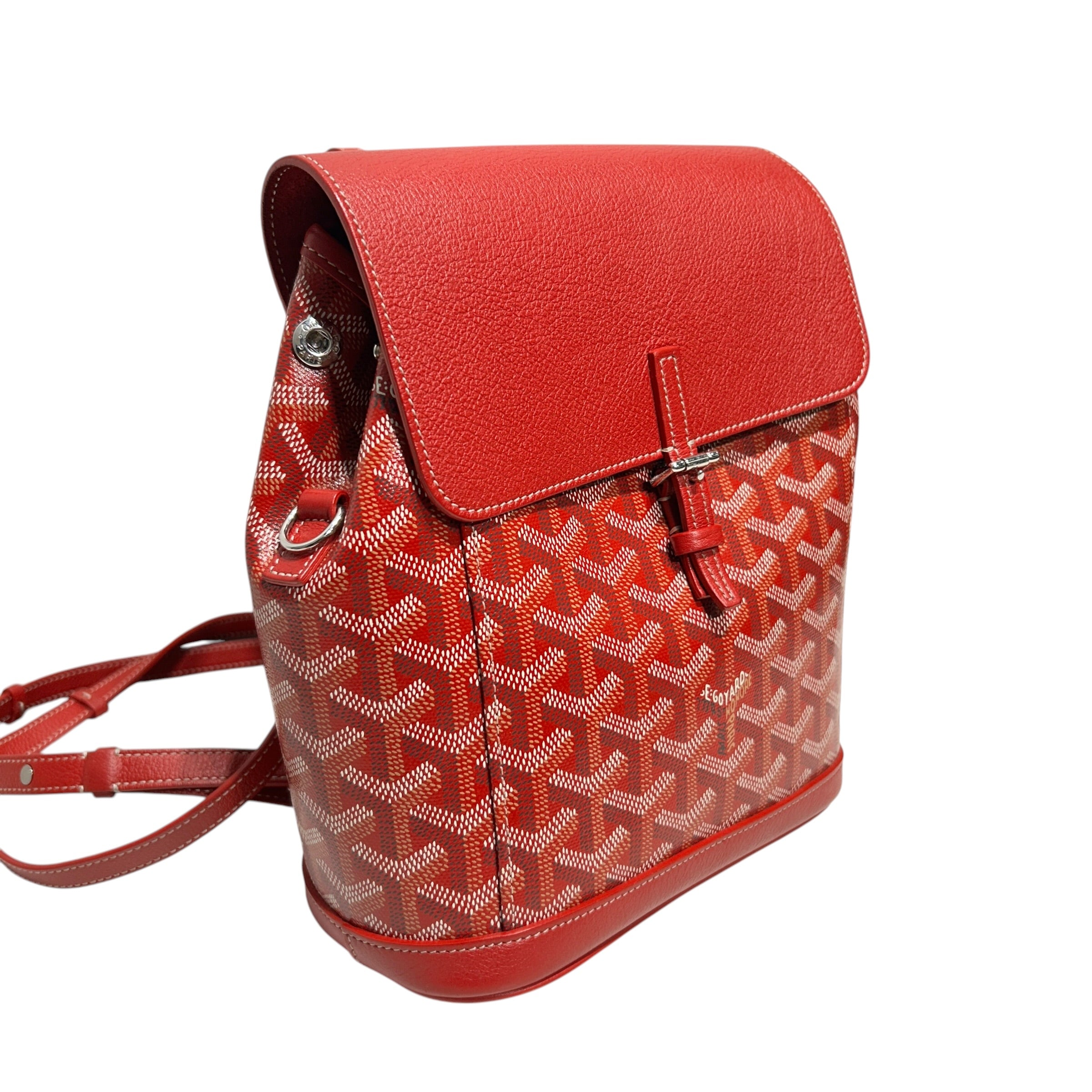 GOYARD/Backpack/Leather/RED/alpin mini view 3