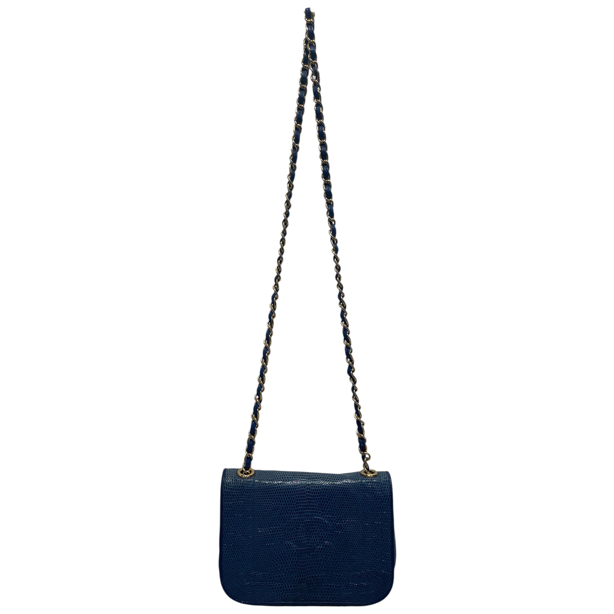 CHANEL/Cross Body Bag/Acrylic/BLU/lizard flap bag view 1