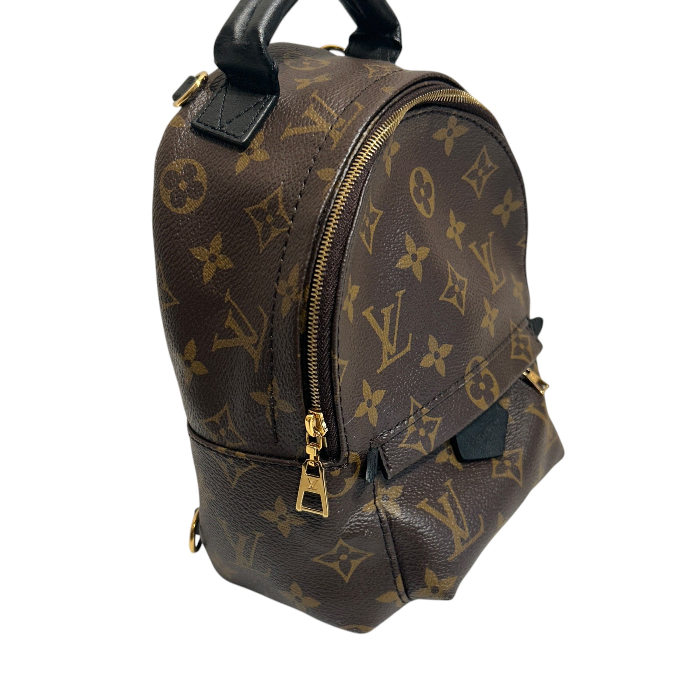 LOUIS VUITTON/Backpack/Monogram/Leather/BRW/MINI PALM SPRINGS view 6