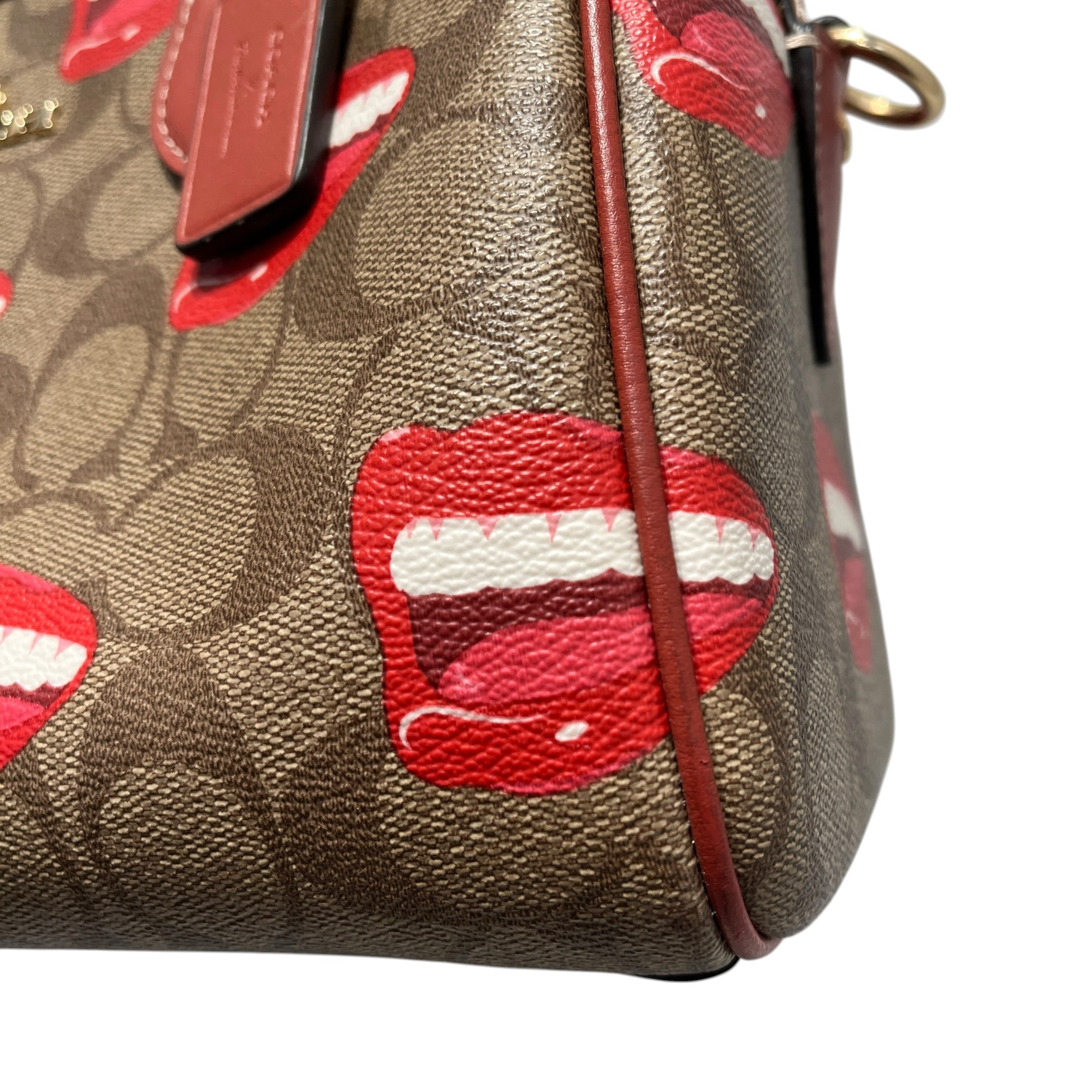 COACH/Bag/All Over Print/Leather/BRW/SATCHEL MOUTH PRINT view 9