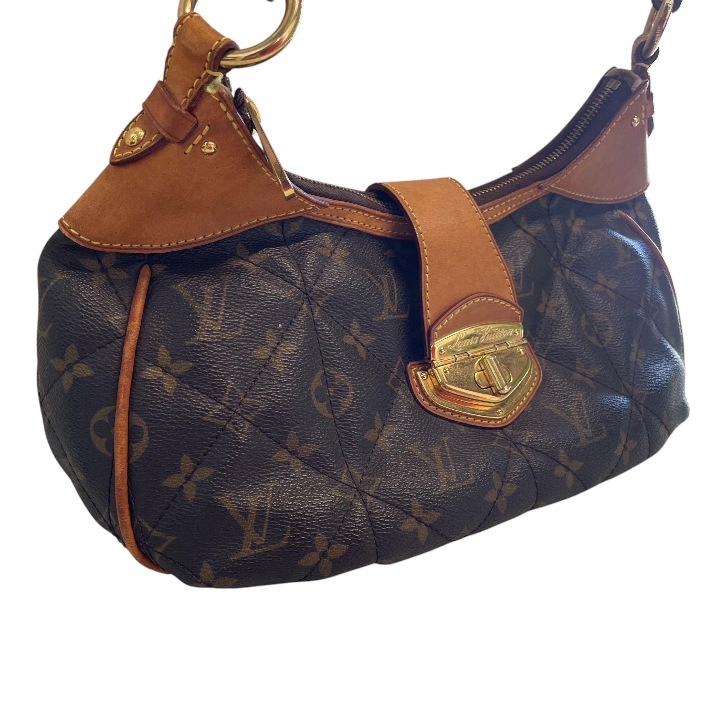 LOUIS VUITTON/Hand Bag/Monogram/Leather/BRW/29RCQBK/ETOILE HANDBAG view 6