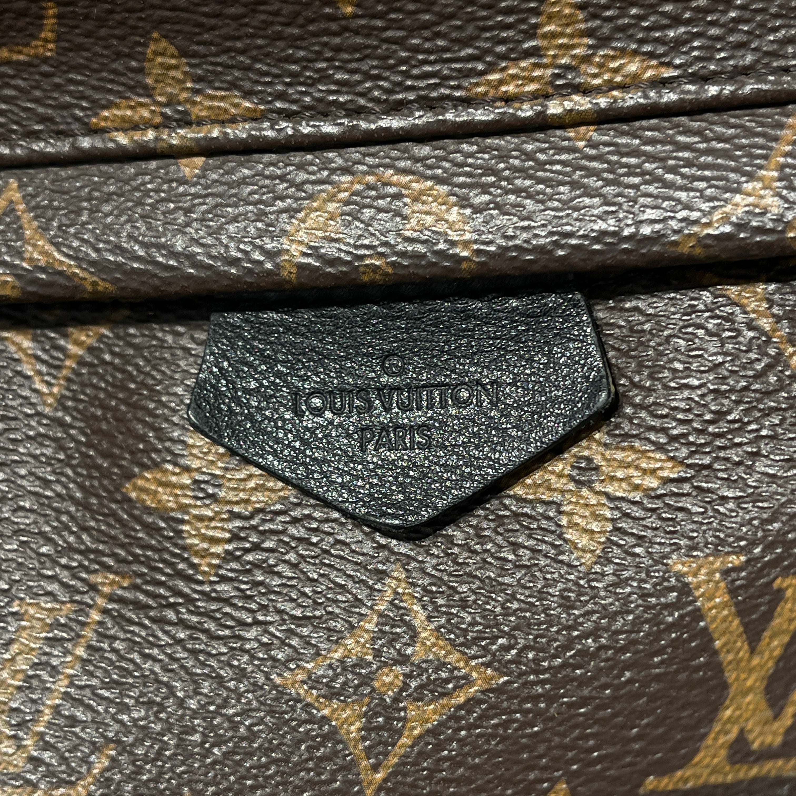 LOUIS VUITTON/Backpack/Monogram/Leather/BRW/palm springs PM backpack view 4