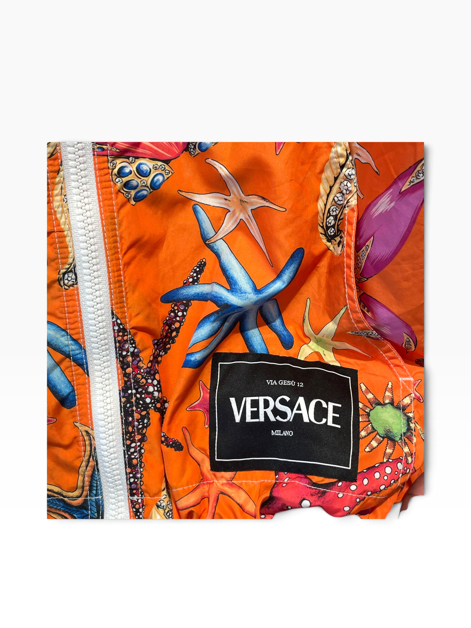 VERSACE/Windbreaker/M/Nylon/ORN/All Over Print/SEASHELL WINDBREAKER view 4