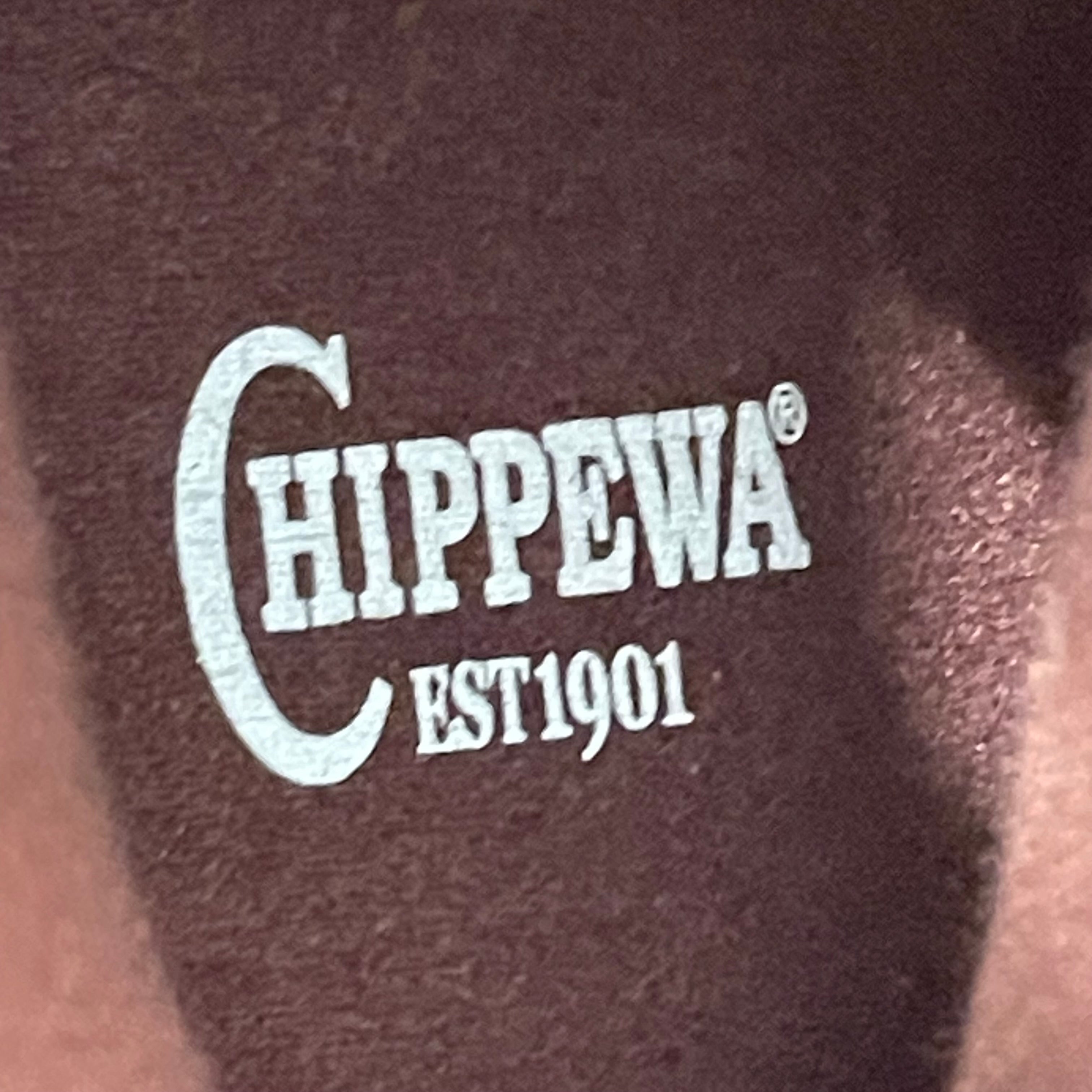 CHIPPEWA/Boots/US 11/Leather/BRD/ view 4