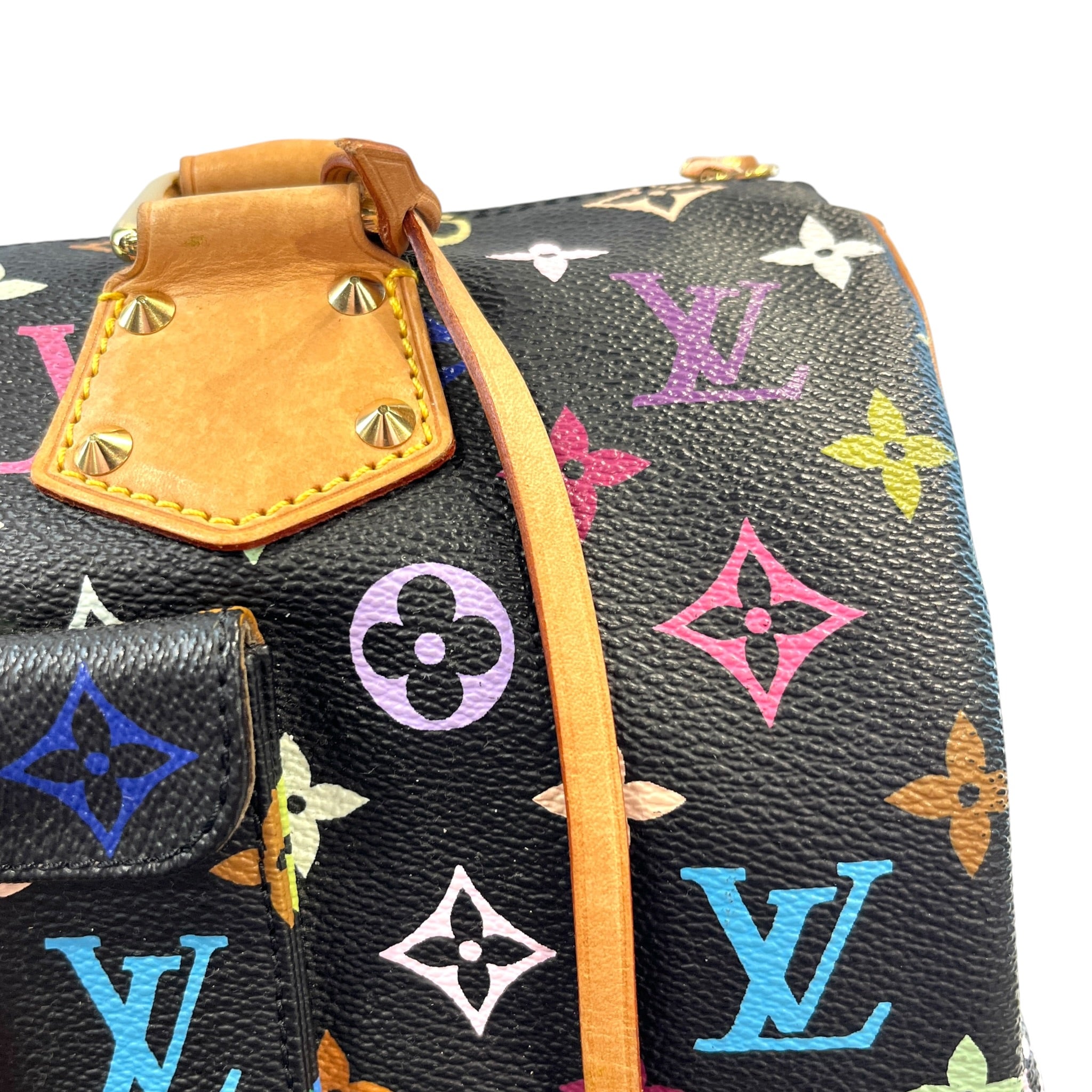 LOUIS VUITTON/Boston Bag/Monogram/BLK/MURAKAMI SPEEDY 30 MULTICOLOR view 6